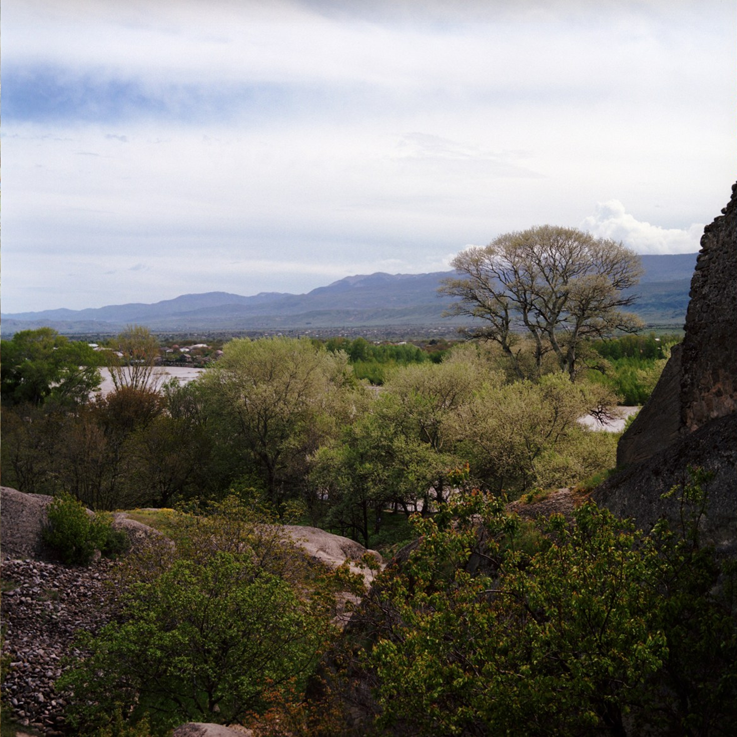 Музей / the museum. Natalia Tabakova art