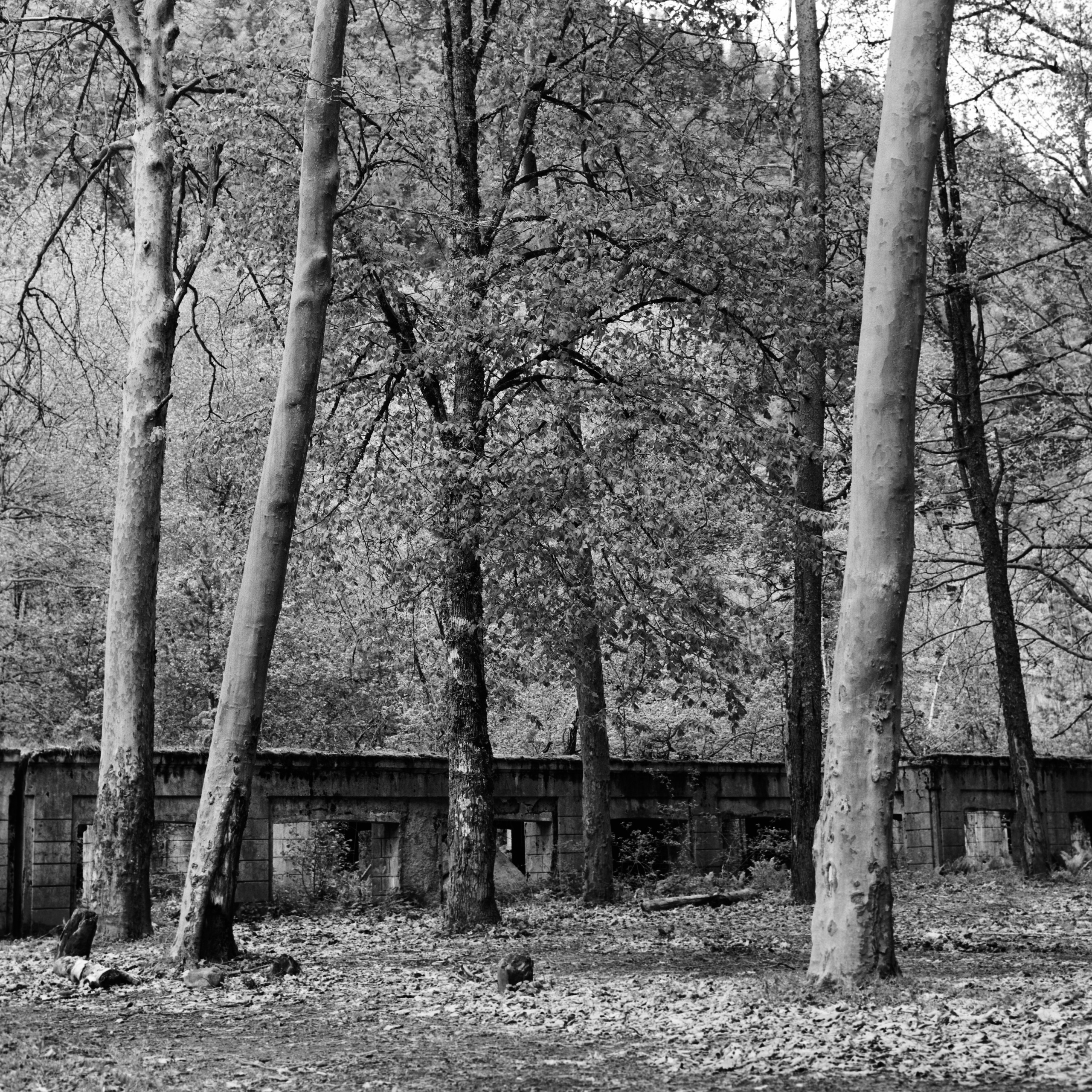 «нулевые знаки». Абхазия. / «zero signs». Abkhazia. Natalia Tabakova art