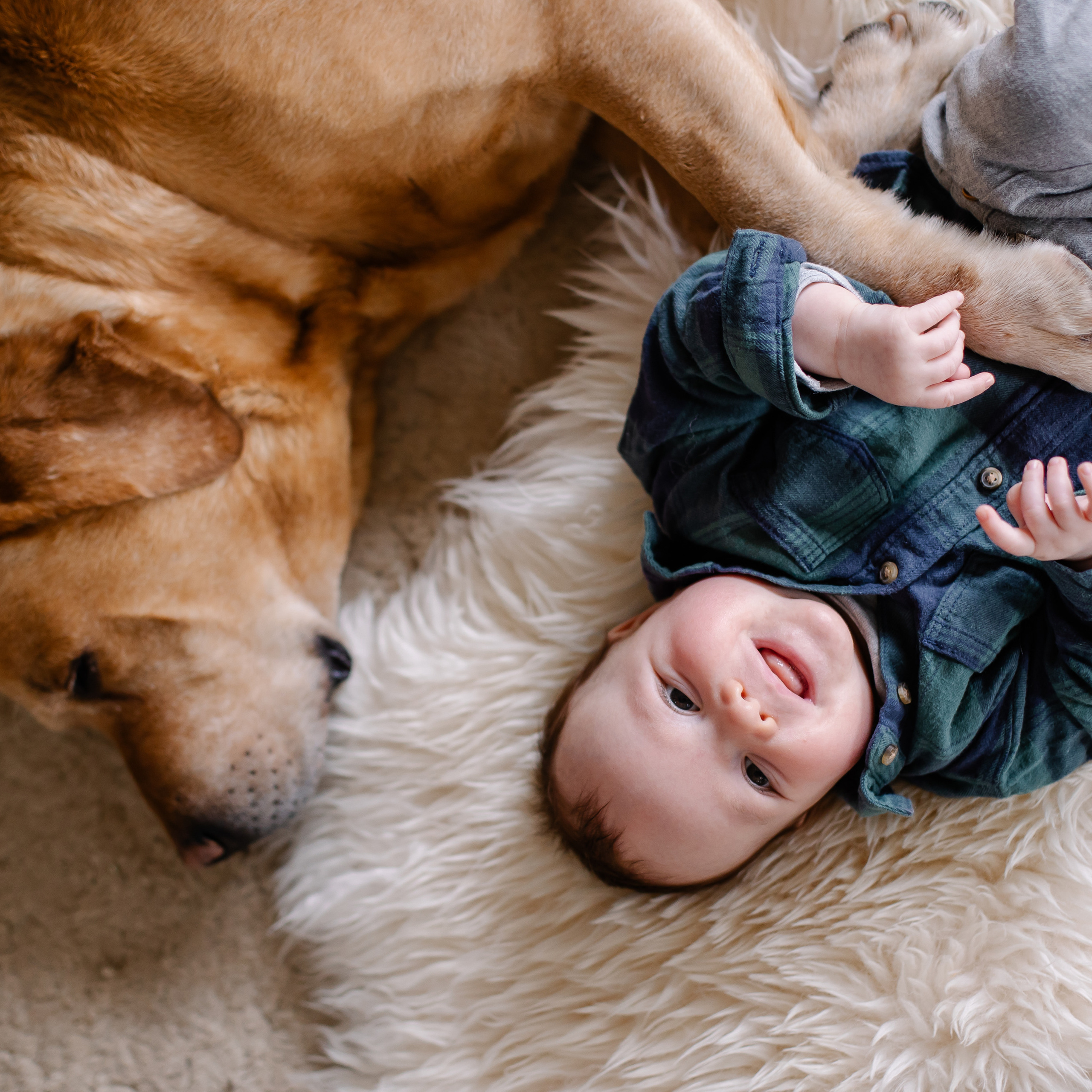 Отзывы. Семейный фотограф в Мюнхене Даша Антипина