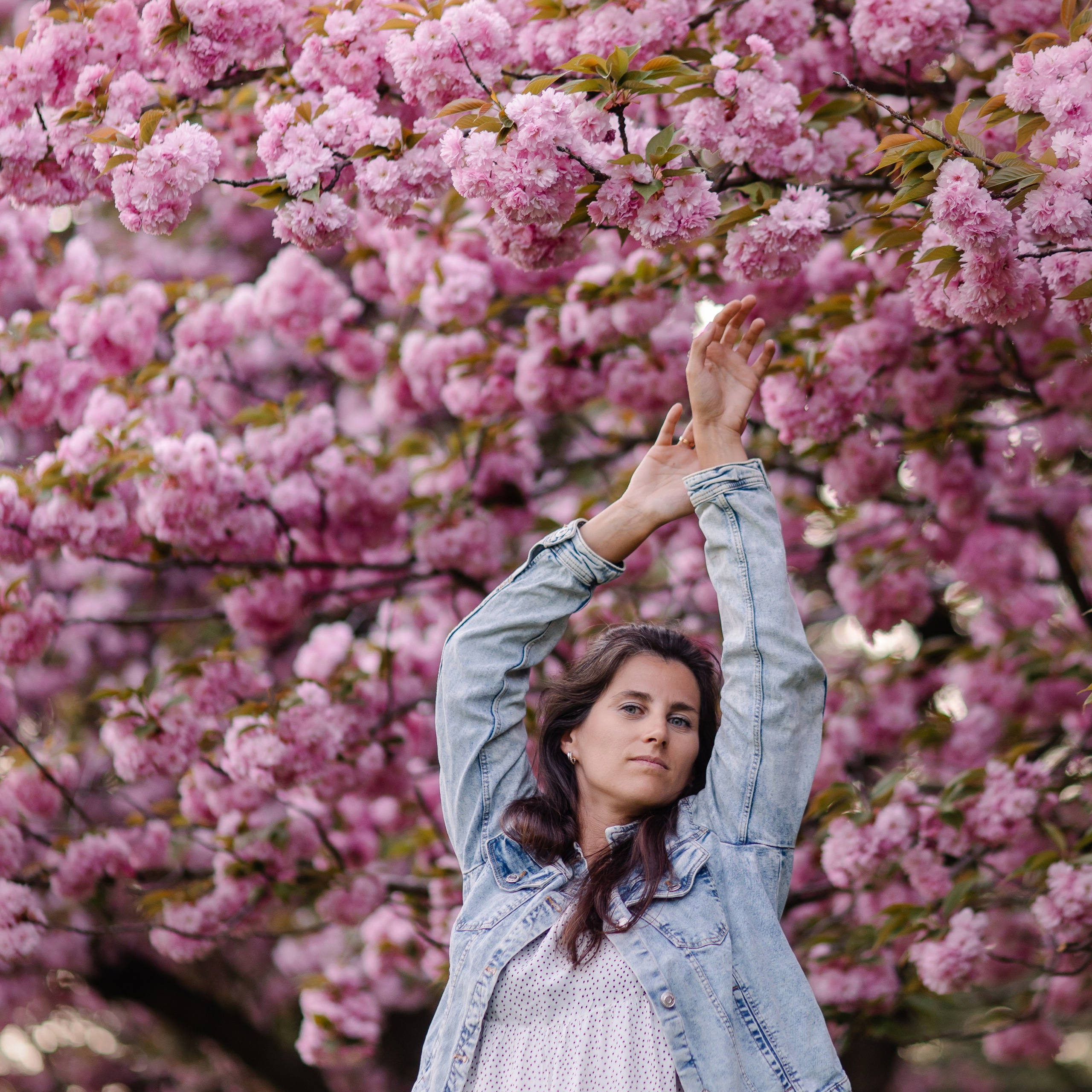 Семейная фотосессия в Мюнхене. Фотосессия в сакуре. Семейный фотограф в Мюнхене Даша Антипина