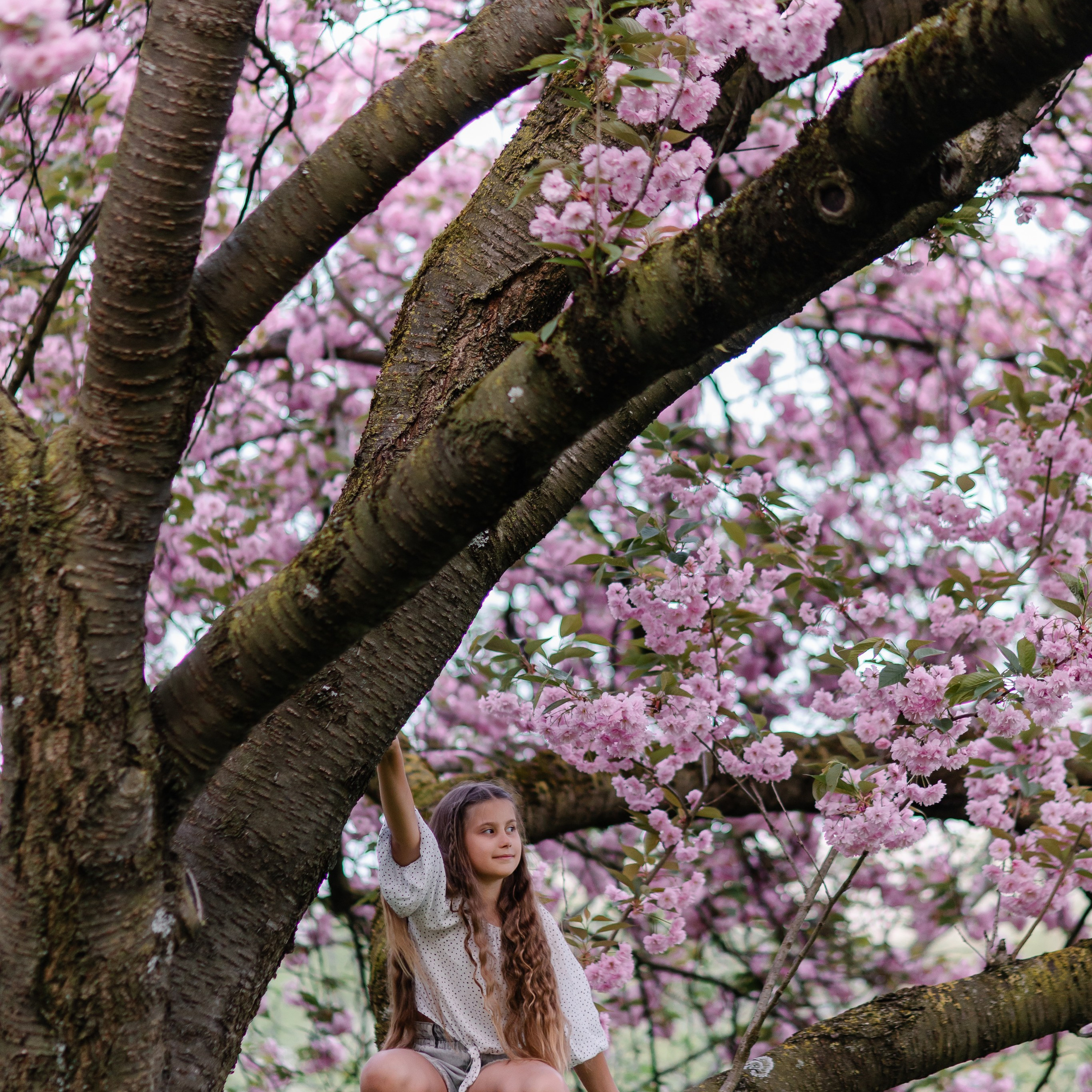 Семейная фотосессия в Мюнхене. Фотосессия в сакуре. Семейный фотограф в Мюнхене Даша Антипина