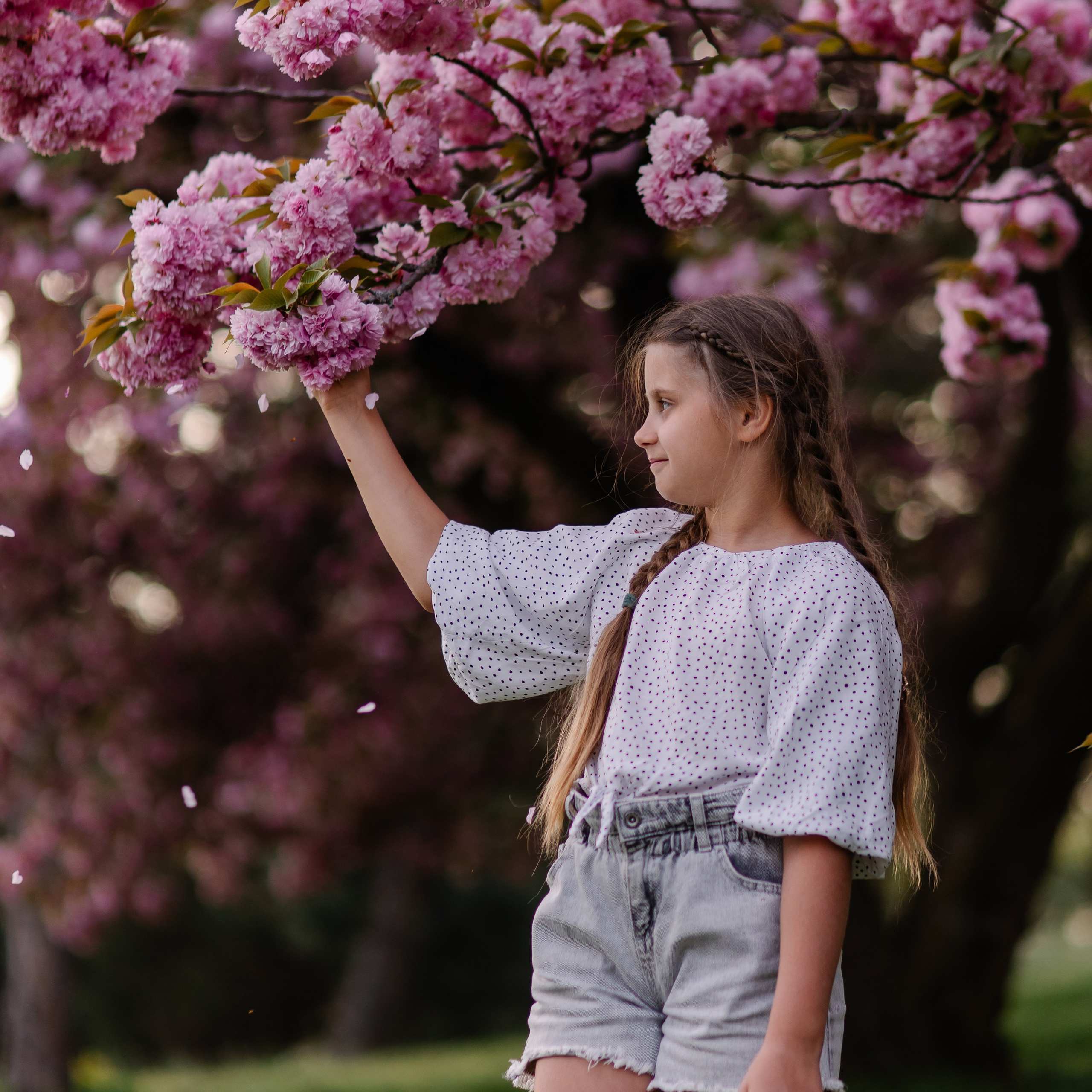 Семейная фотосессия в Мюнхене. Фотосессия в сакуре. Семейный фотограф в Мюнхене Даша Антипина