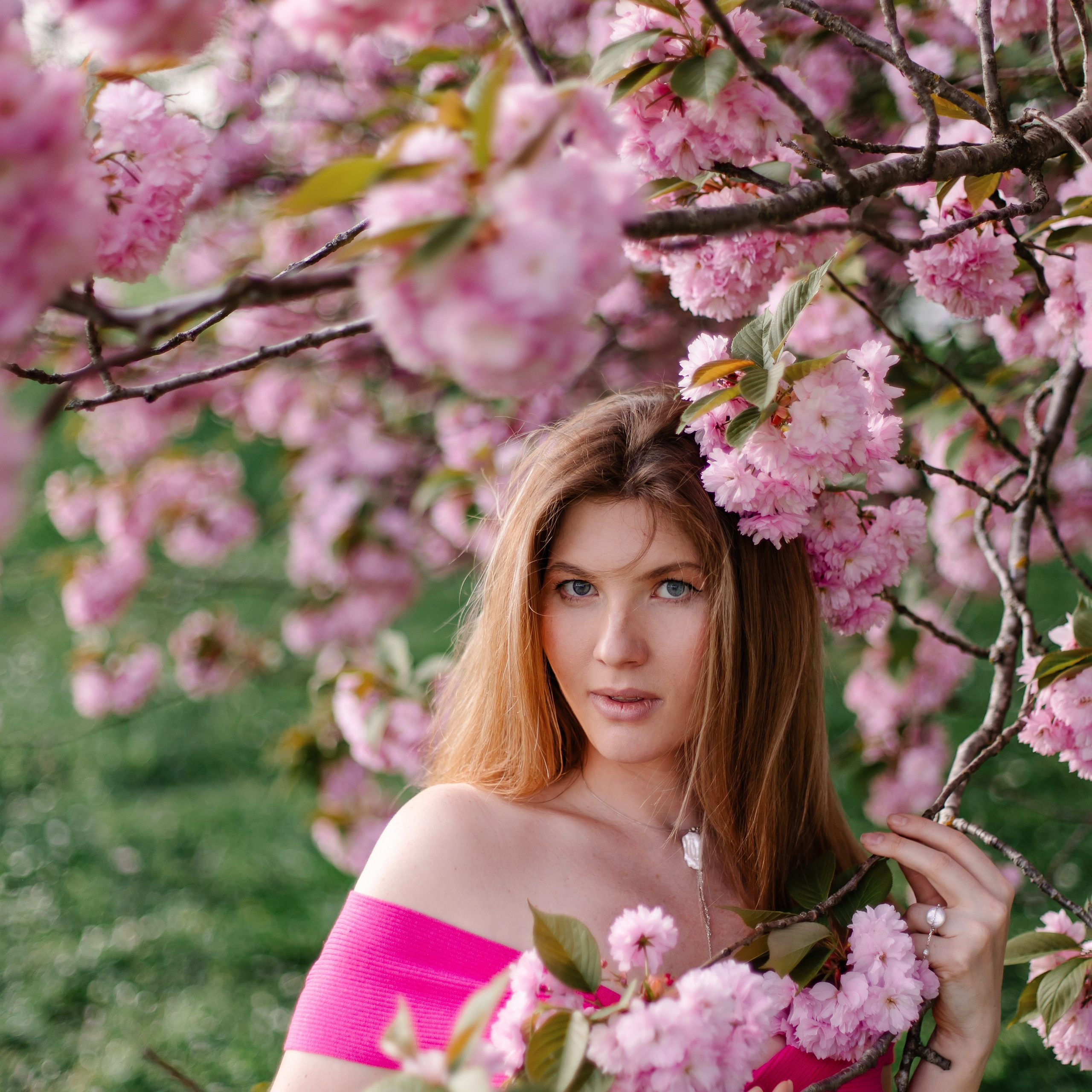 Rosa Wolken in München. Fotografin in München Dasha Antipina