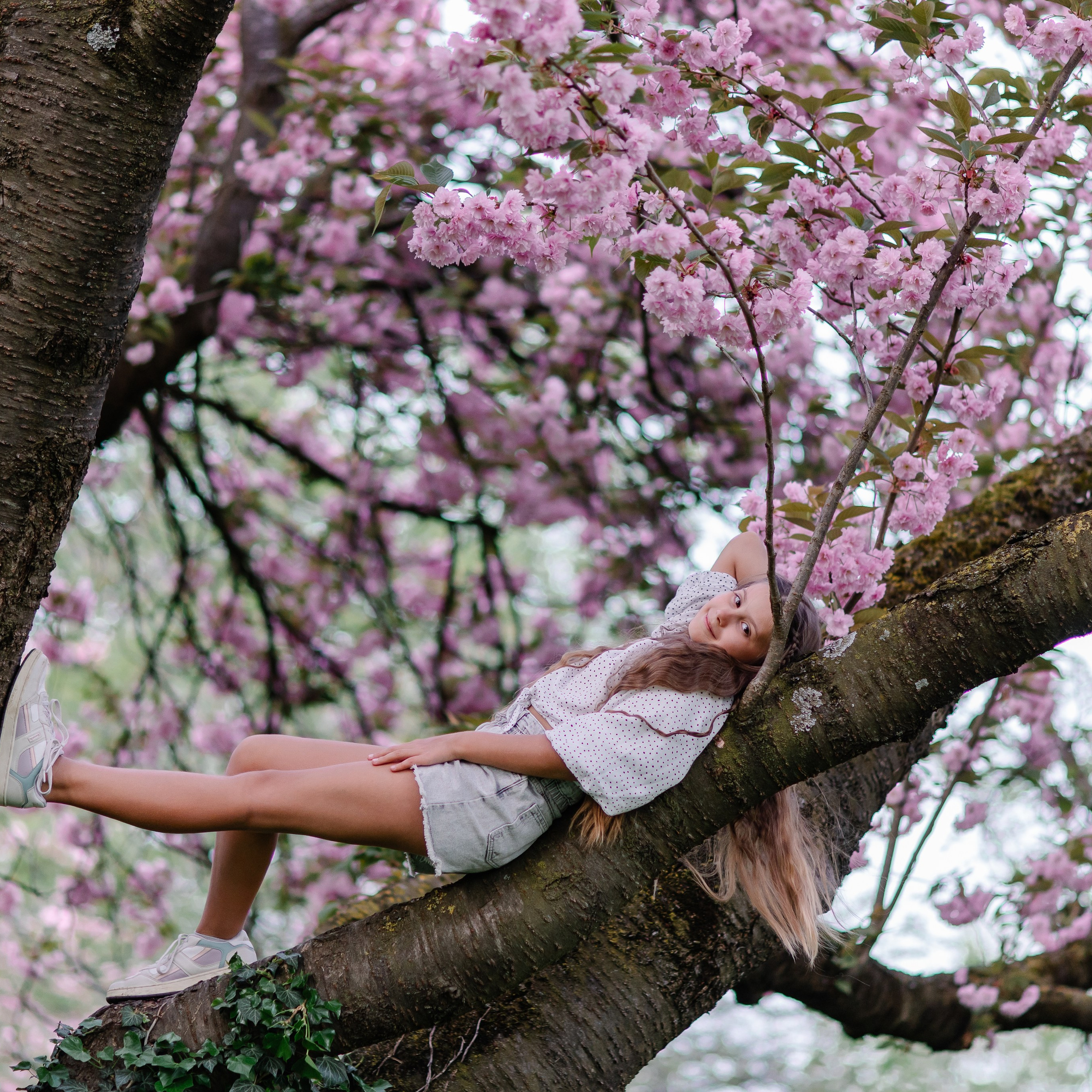 Семейная фотосессия в Мюнхене. Фотосессия в сакуре. Семейный фотограф в Мюнхене Даша Антипина