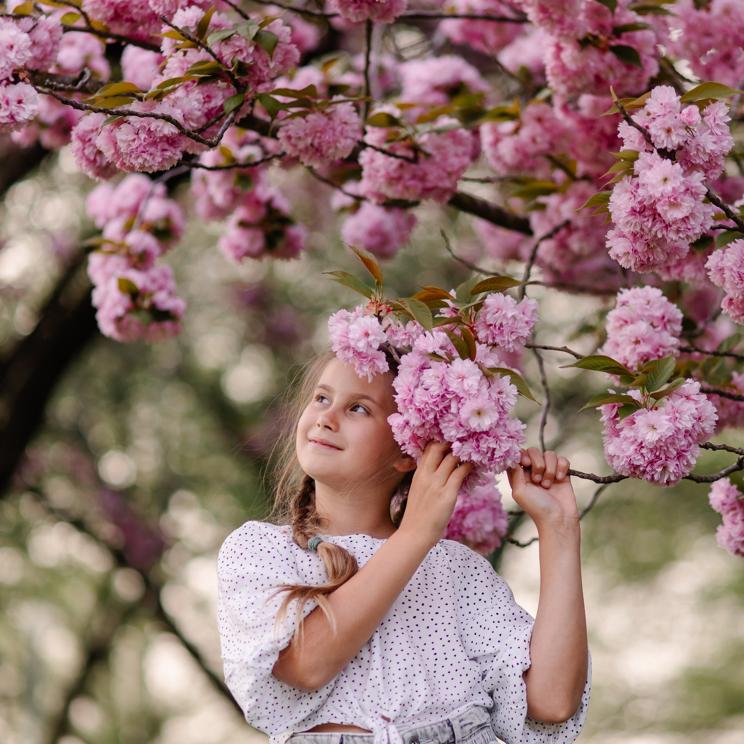 Семейная фотосессия в Мюнхене. Фотосессия в сакуре. Семейный фотограф в Мюнхене Даша Антипина