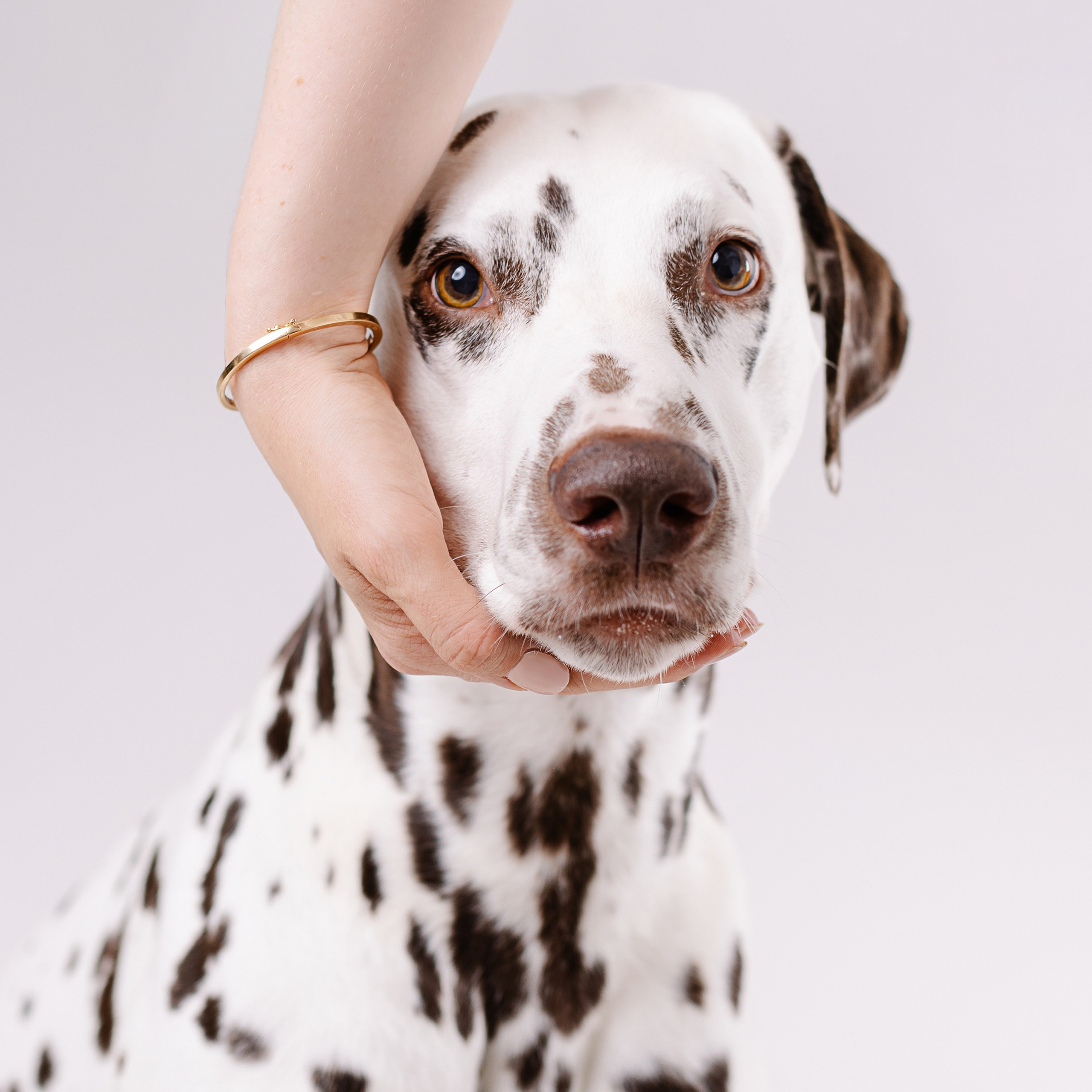 Ein Fotoshooting mit eurem Lieblingshund. Семейный фотограф в Мюнхене Даша Антипина