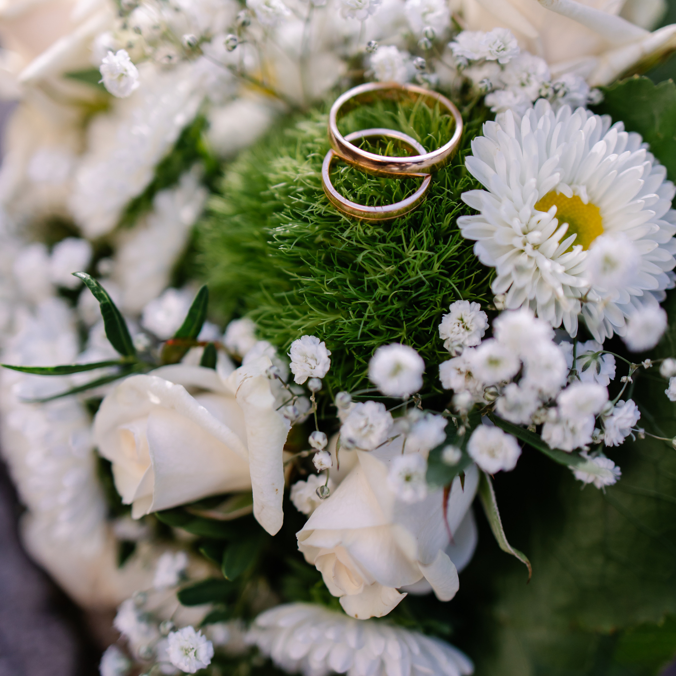 Свадебная фотосессия в Мюнхене. Семейный фотограф в Мюнхене Даша Антипина