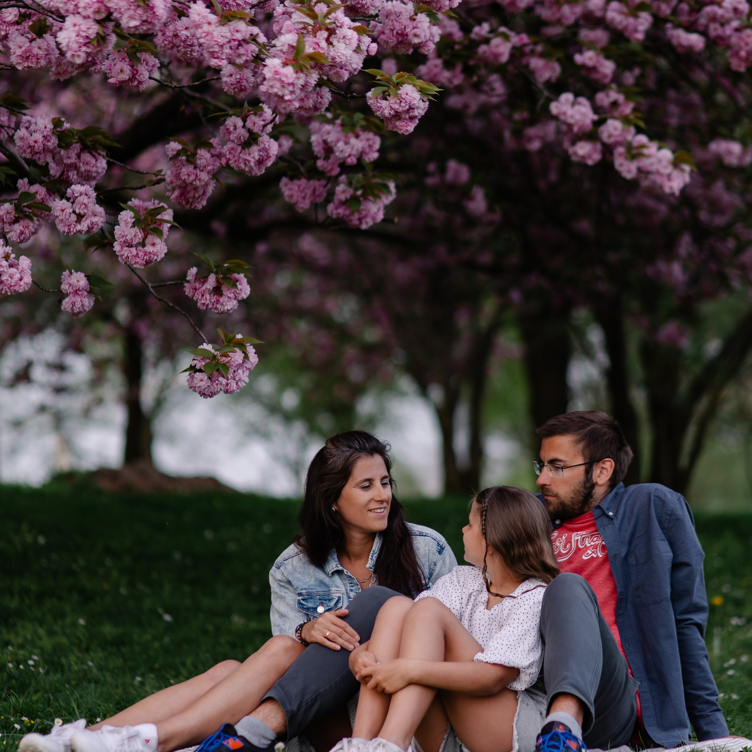 Семейная фотосессия в Мюнхене. Фотосессия в сакуре. Семейный фотограф в Мюнхене Даша Антипина