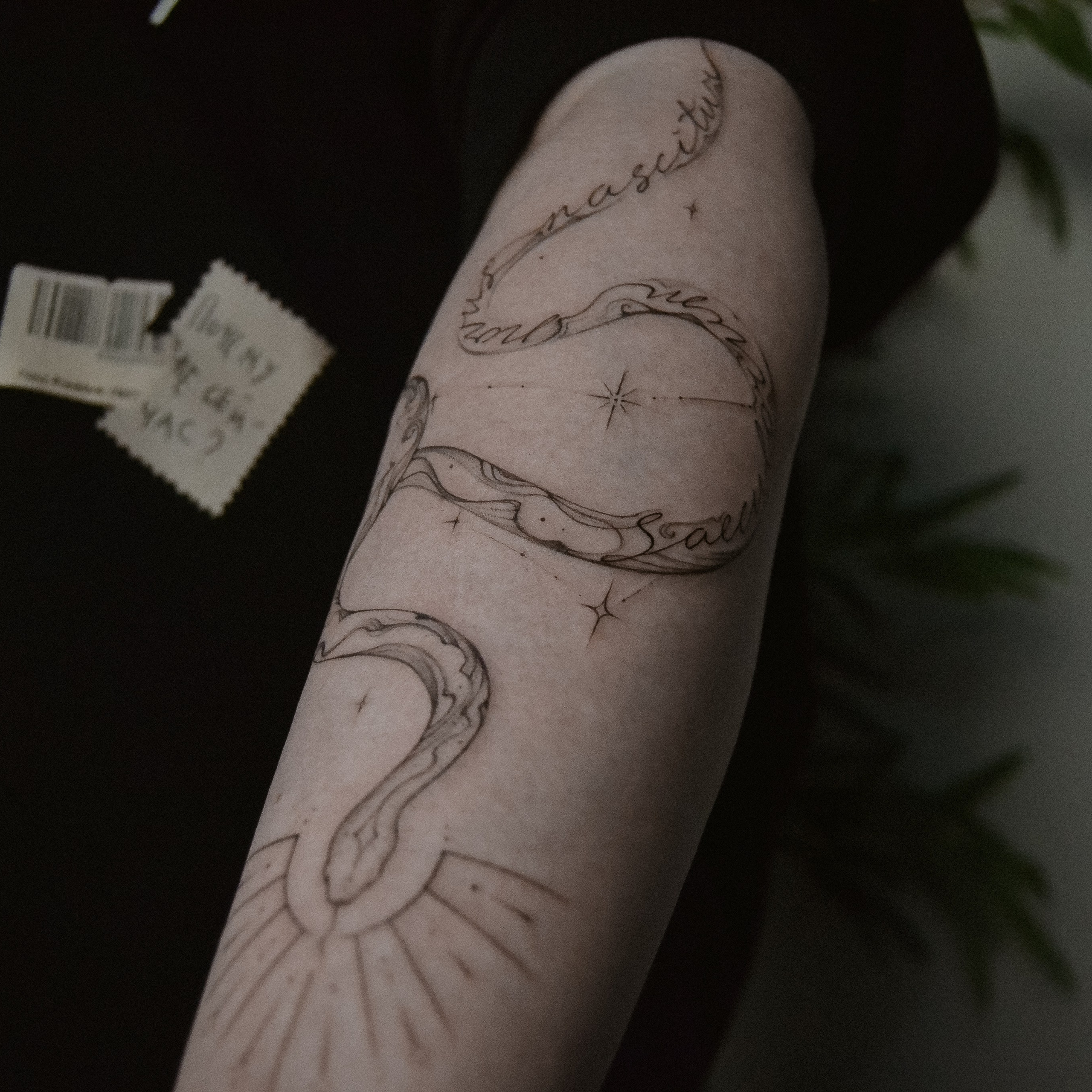 Мария Жиркова. Обучение тату Хабаровск. Диплом гос.образца. татуировки Хабаровск