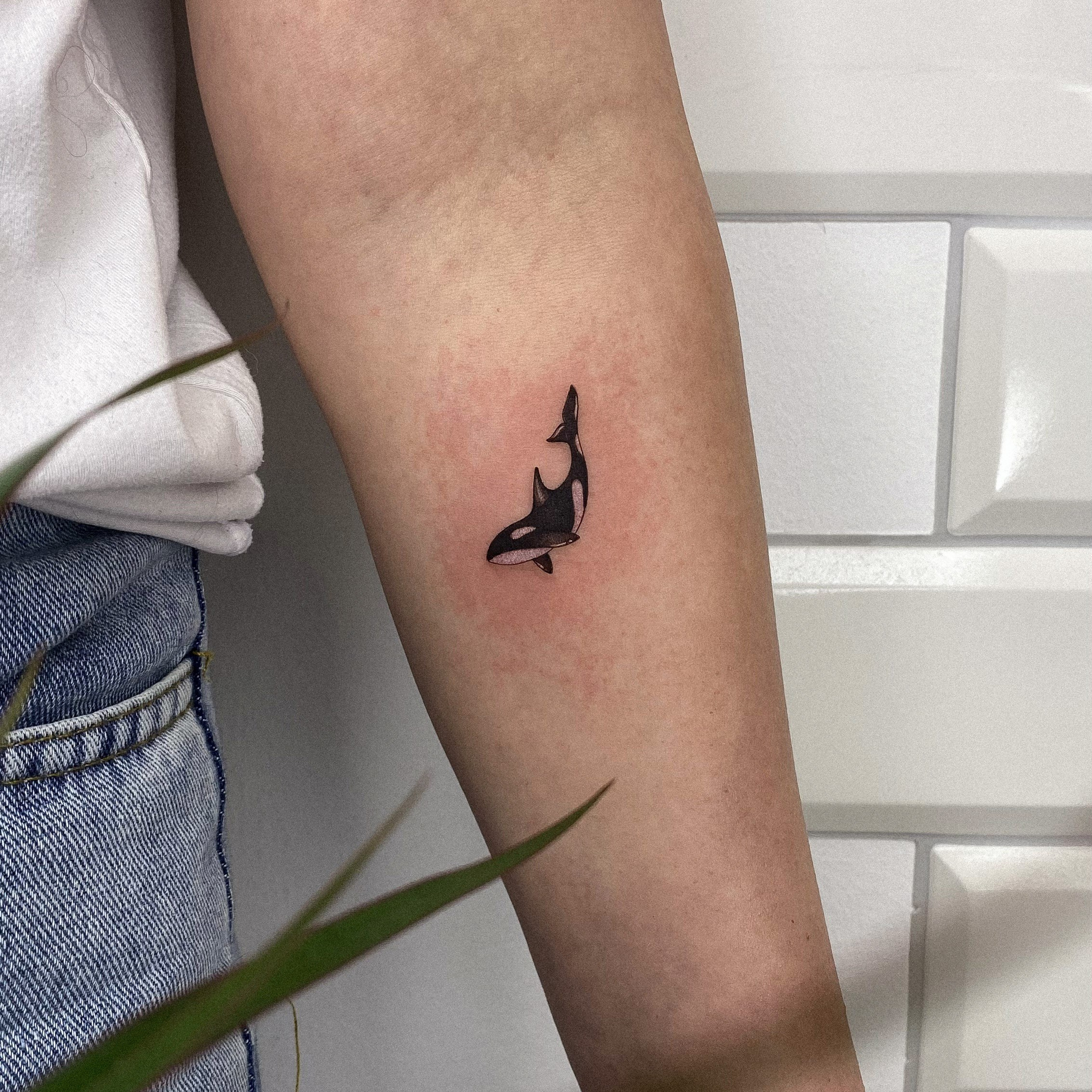 Влада Витковская. Обучение тату Хабаровск. Диплом гос.образца. татуировки Хабаровск