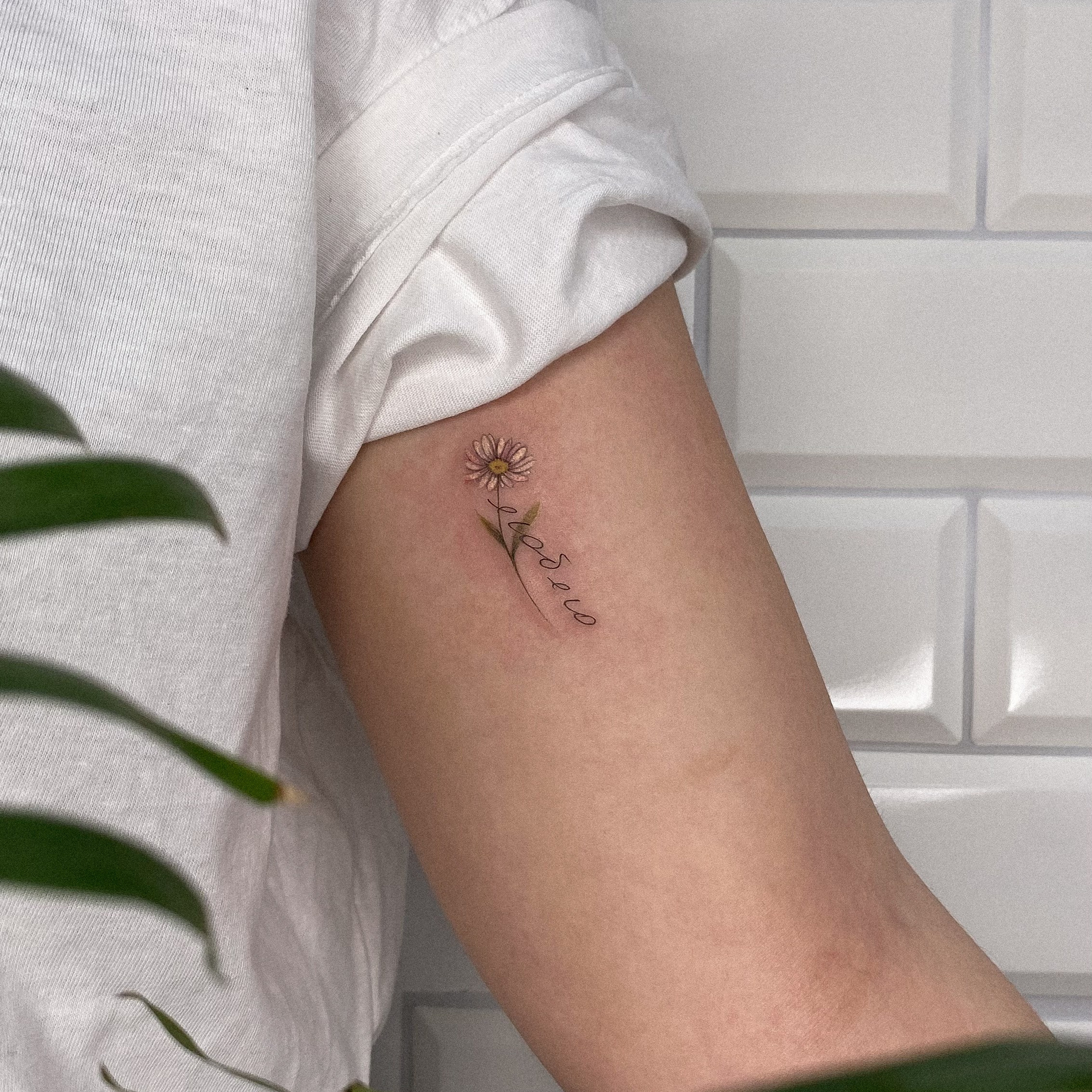 Влада Витковская. Обучение тату Хабаровск. Диплом гос.образца. татуировки Хабаровск