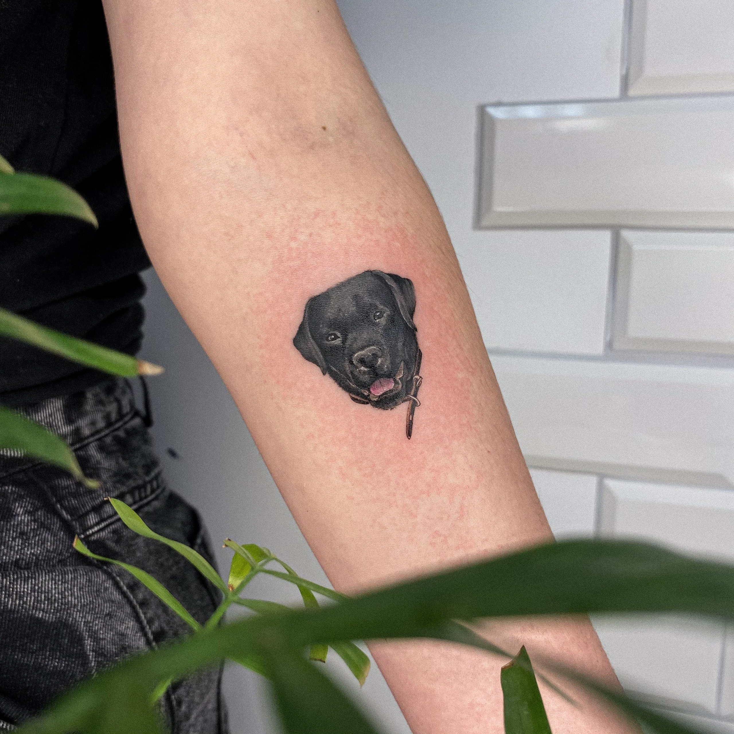 Влада Витковская. Обучение тату Хабаровск. Диплом гос.образца. татуировки Хабаровск