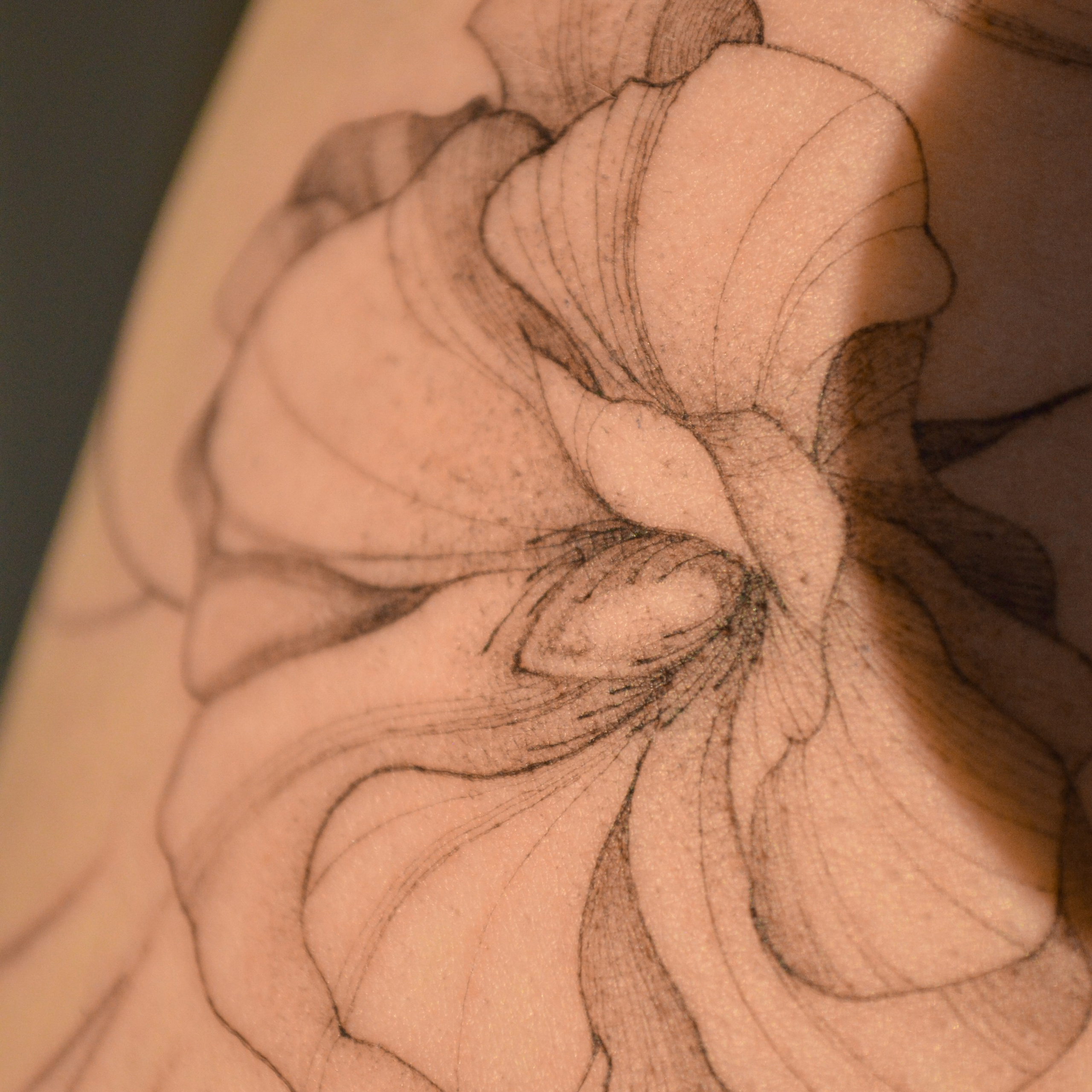 Даниэла Симченкова. Обучение тату Хабаровск. Диплом гос.образца. татуировки Хабаровск