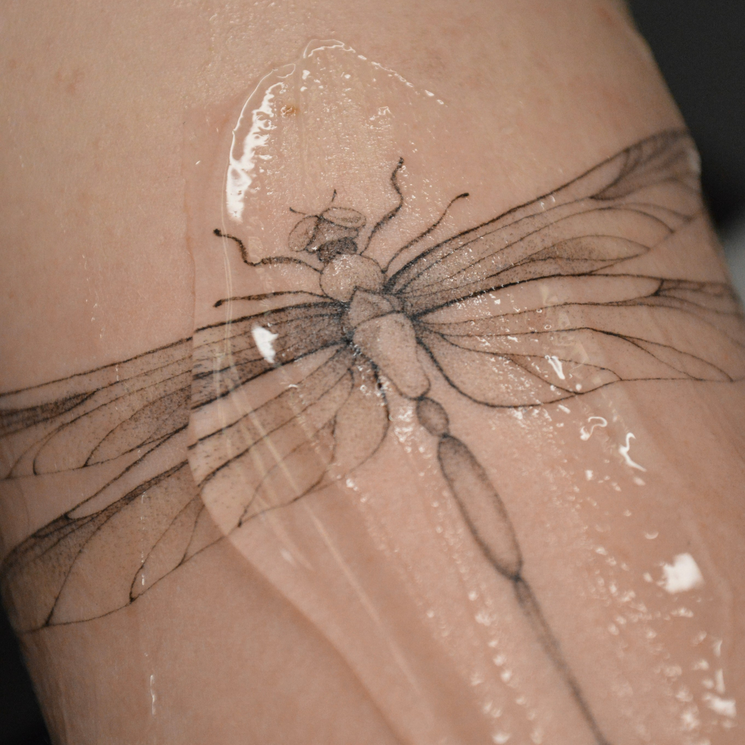 Даниэла Симченкова. Обучение тату Хабаровск. Диплом гос.образца. татуировки Хабаровск