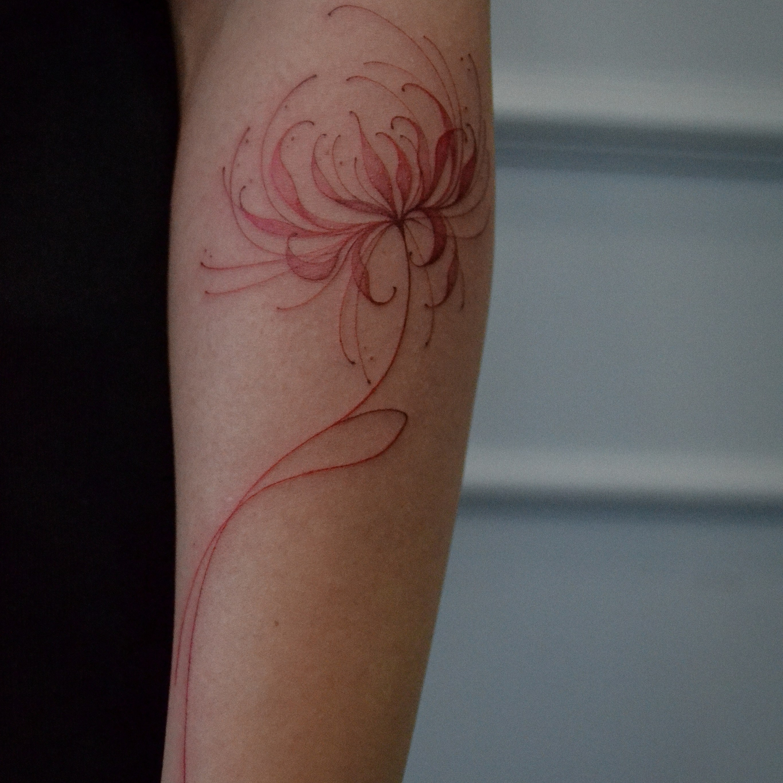 Мария Жиркова. Обучение тату Хабаровск. Диплом гос.образца. татуировки Хабаровск