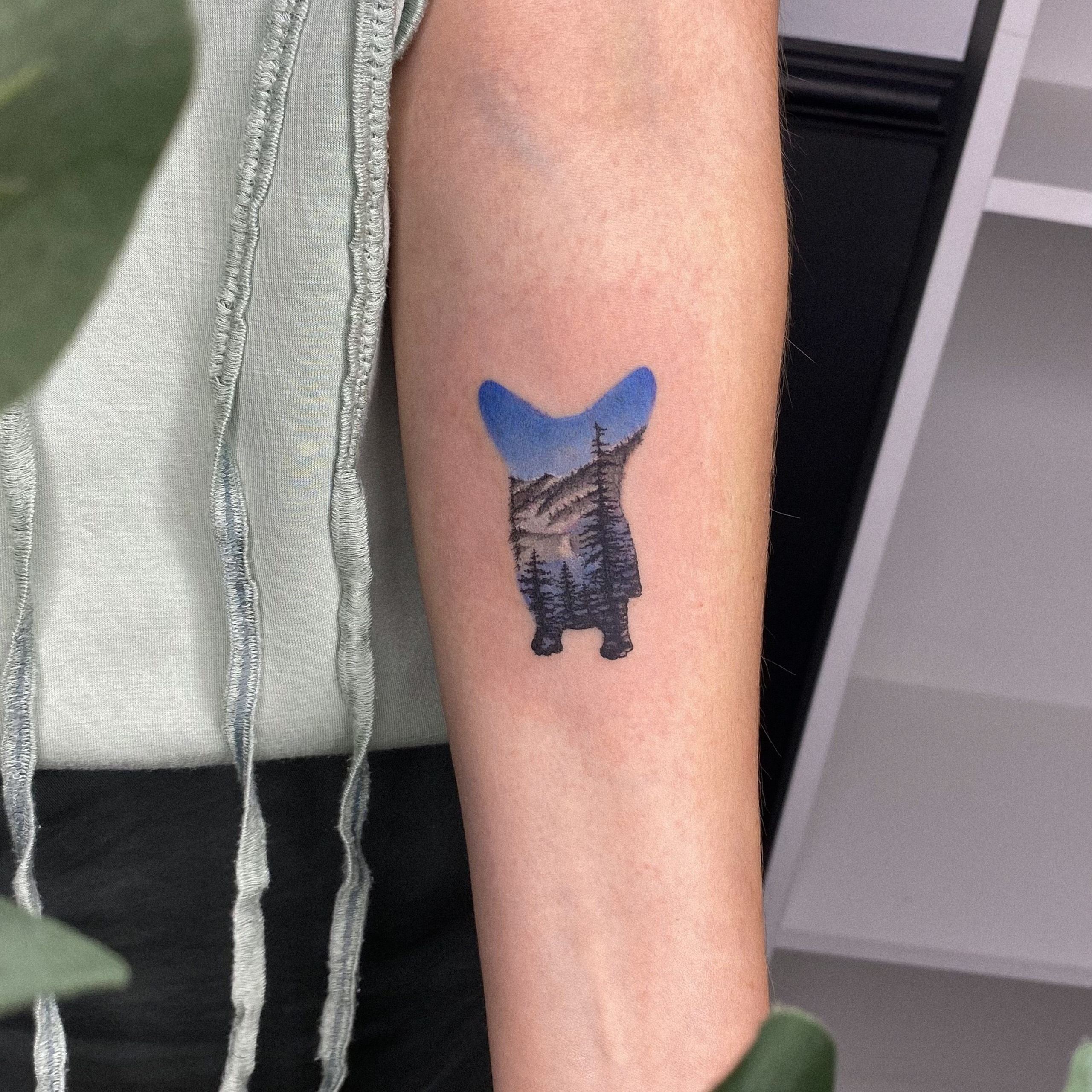 Влада Витковская. Обучение тату Хабаровск. Диплом гос.образца. татуировки Хабаровск