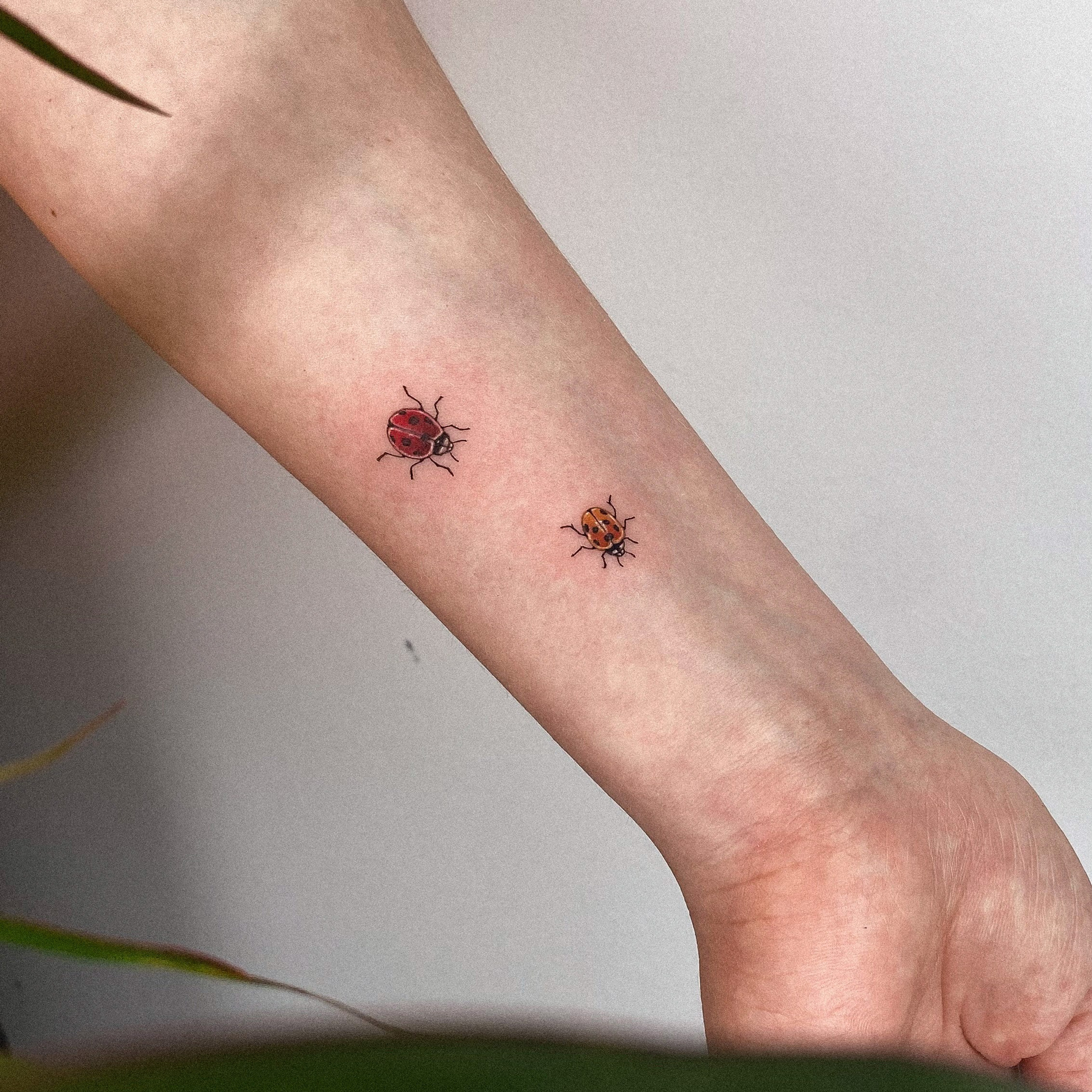 Влада Витковская. Обучение тату Хабаровск. Диплом гос.образца. татуировки Хабаровск