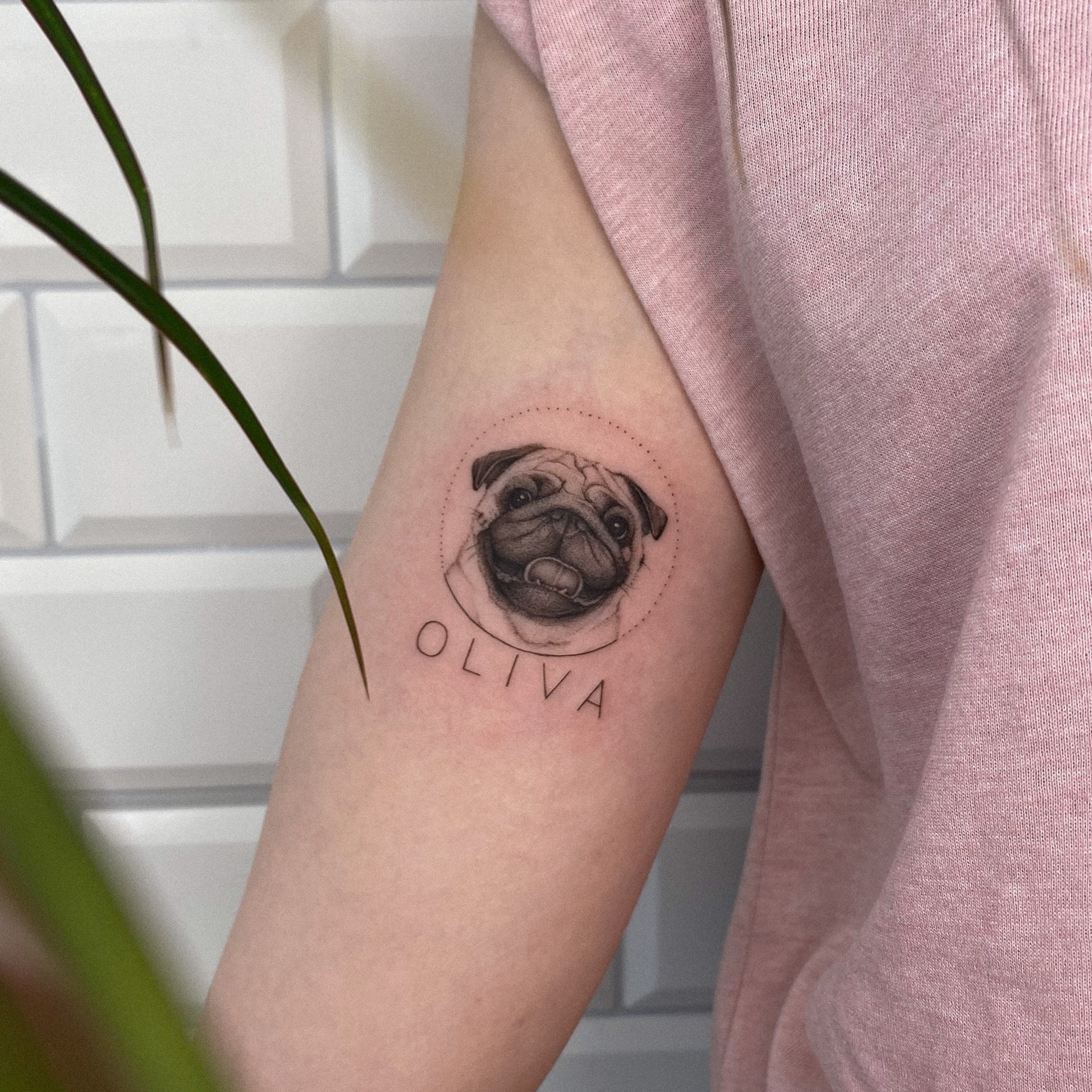 Влада Витковская. Обучение тату Хабаровск. Диплом гос.образца. татуировки Хабаровск