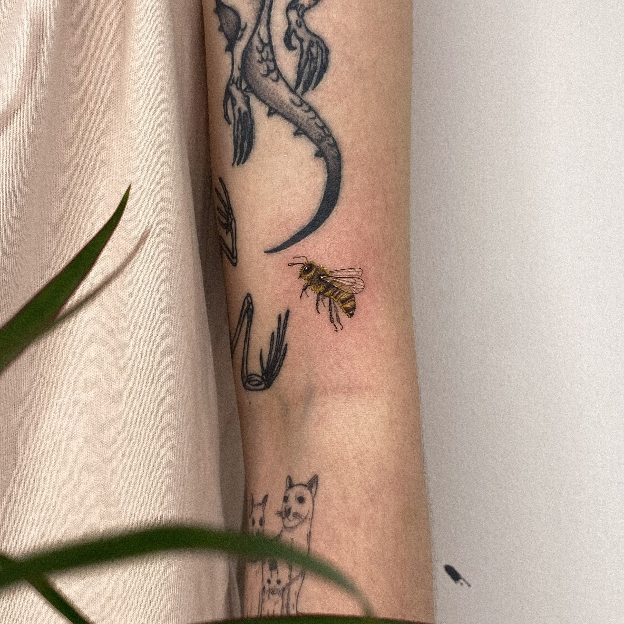 Влада Витковская. Обучение тату Хабаровск. Диплом гос.образца. татуировки Хабаровск