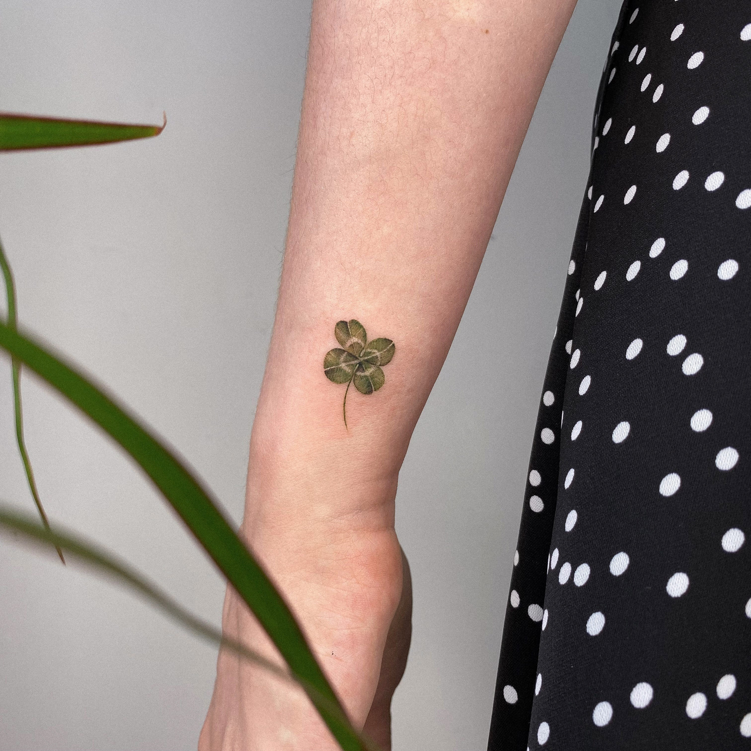 Влада Витковская. Обучение тату Хабаровск. Диплом гос.образца. татуировки Хабаровск