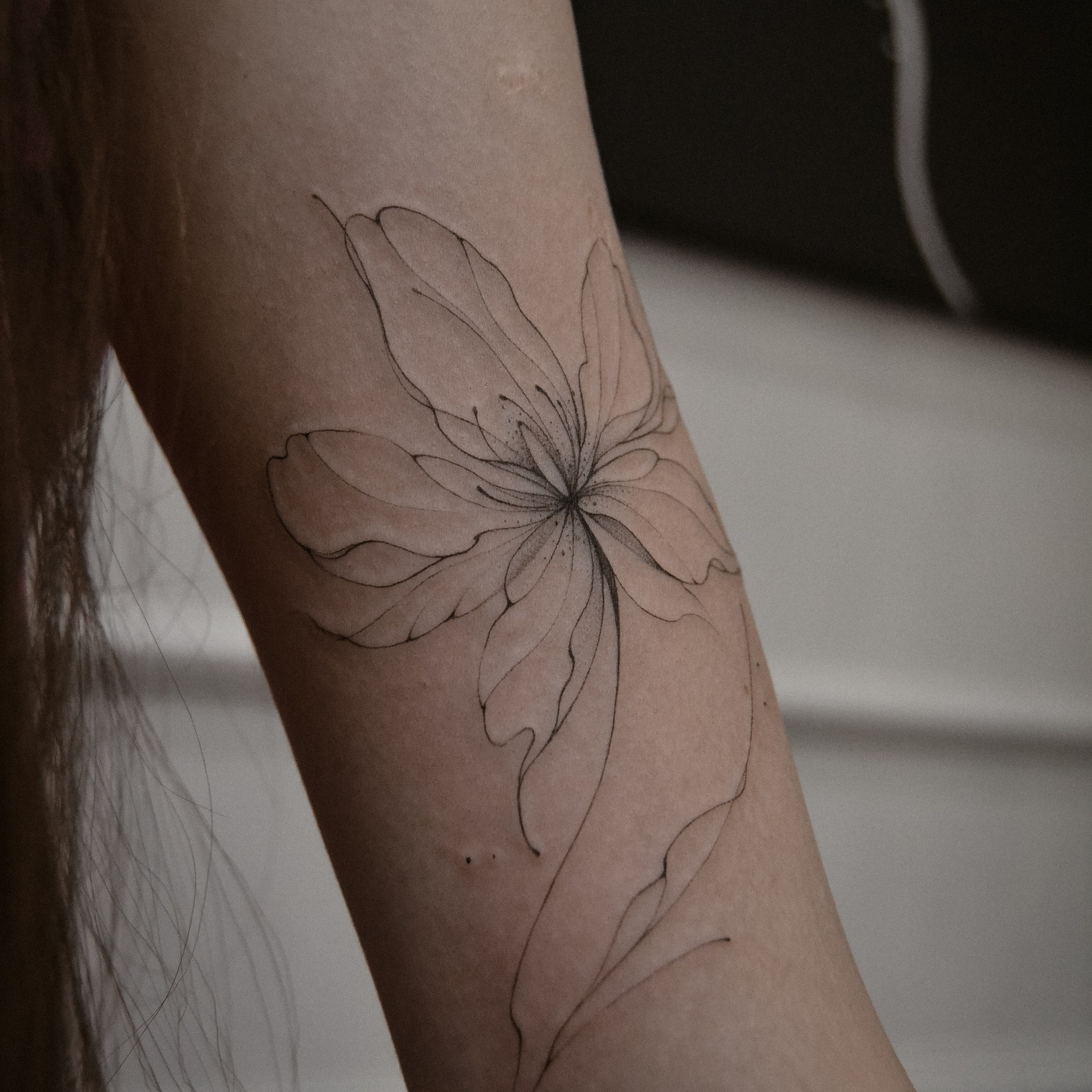 Мария Жиркова. Обучение тату Хабаровск. Диплом гос.образца. татуировки Хабаровск