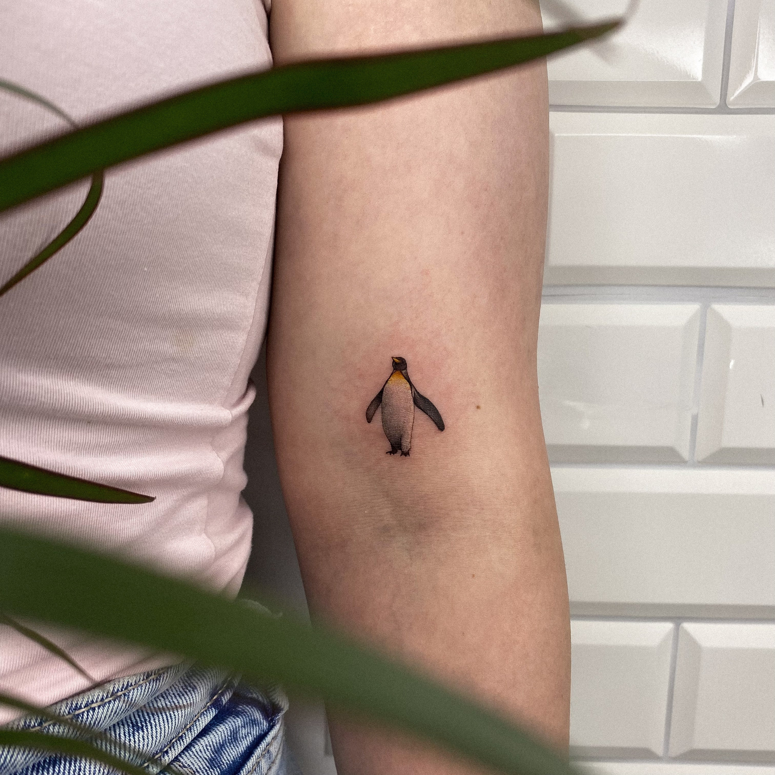 Влада Витковская. Обучение тату Хабаровск. Диплом гос.образца. татуировки Хабаровск