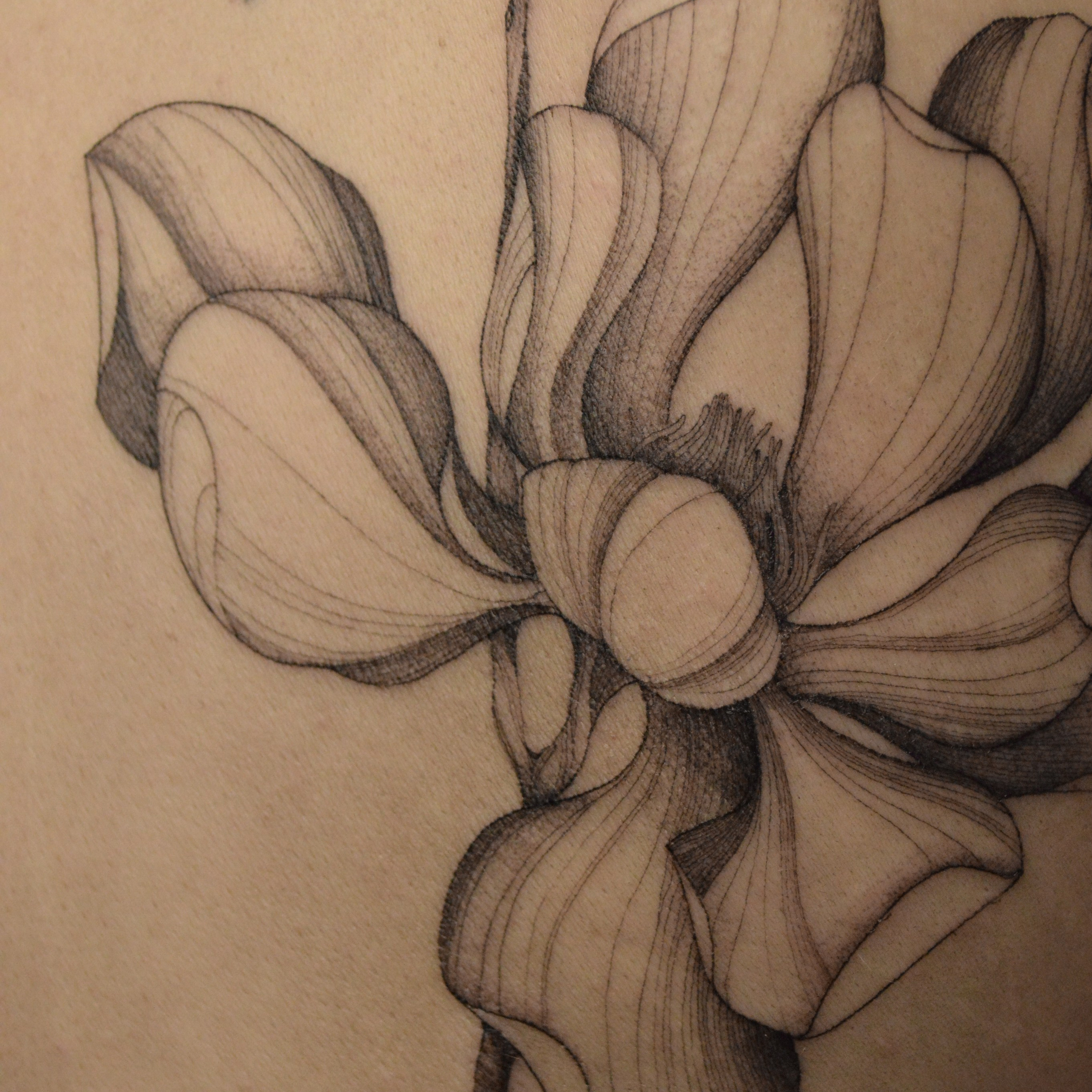 Даниэла Симченкова. Обучение тату Хабаровск. Диплом гос.образца. татуировки Хабаровск