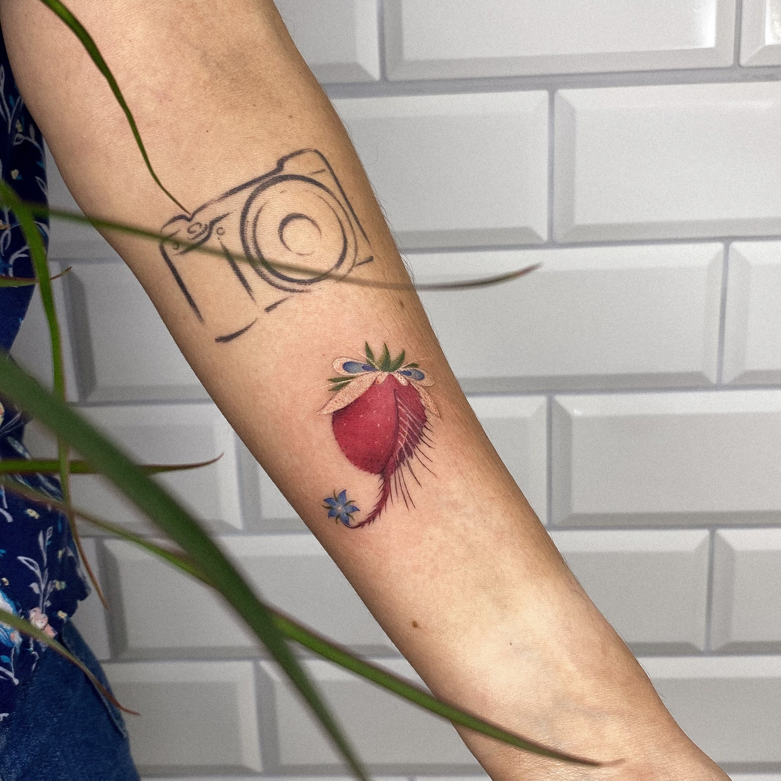 Влада Витковская. Обучение тату Хабаровск. Диплом гос.образца. татуировки Хабаровск