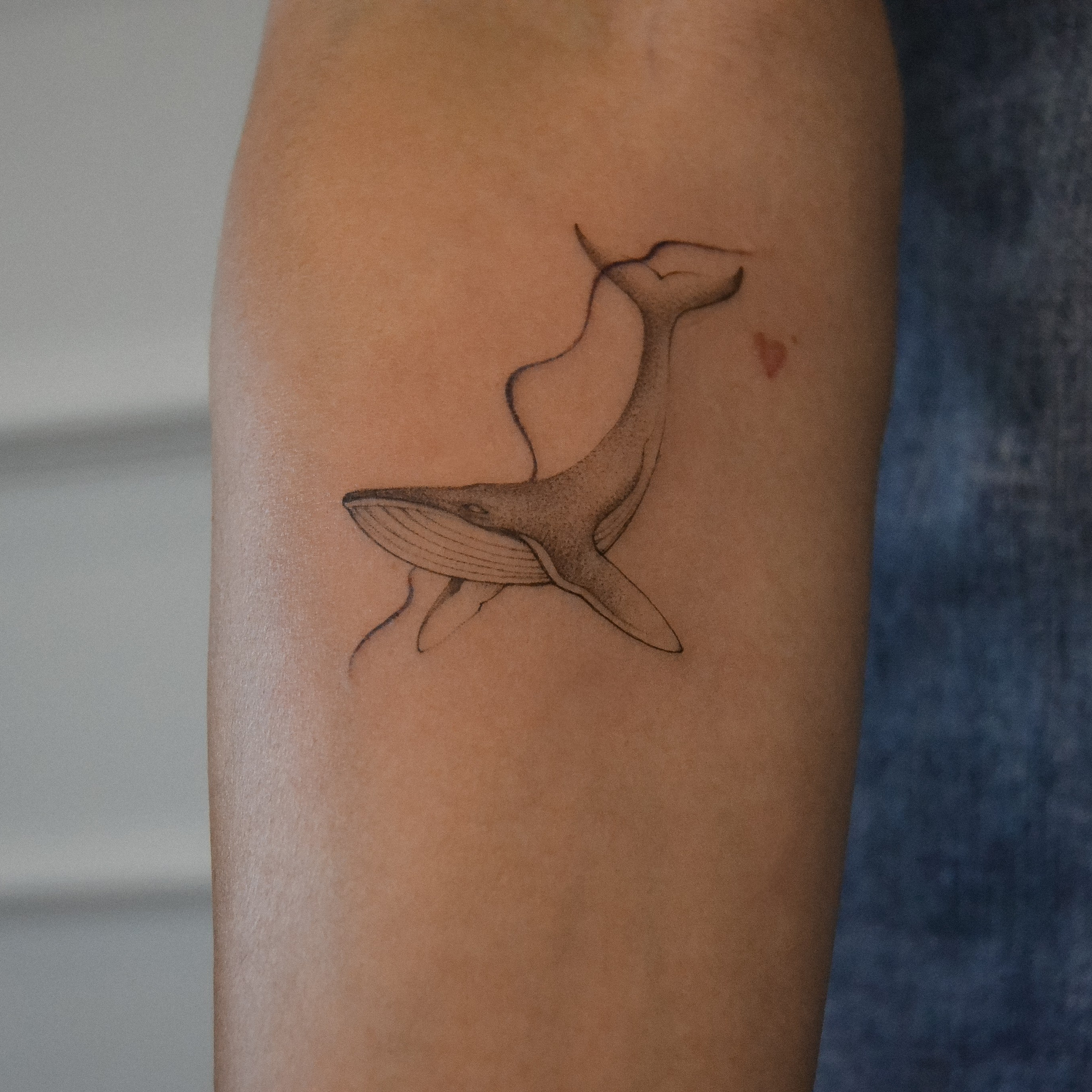 Мария Жиркова. Обучение тату Хабаровск. Диплом гос.образца. татуировки Хабаровск