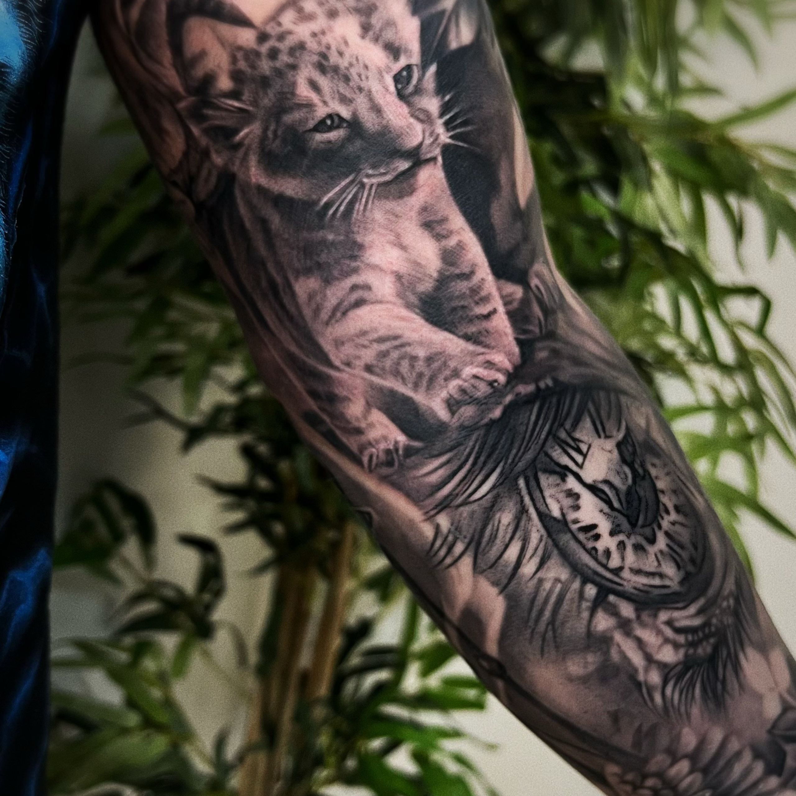 Анастасия Левицкая. Обучение тату Хабаровск. Диплом гос.образца. татуировки Хабаровск