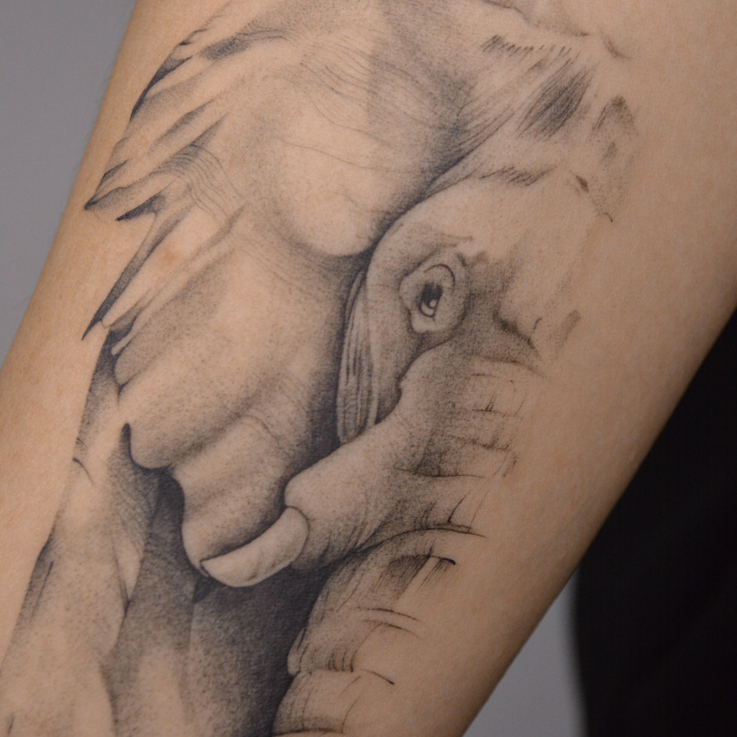 Даниэла Симченкова. Обучение тату Хабаровск. Диплом гос.образца. татуировки Хабаровск