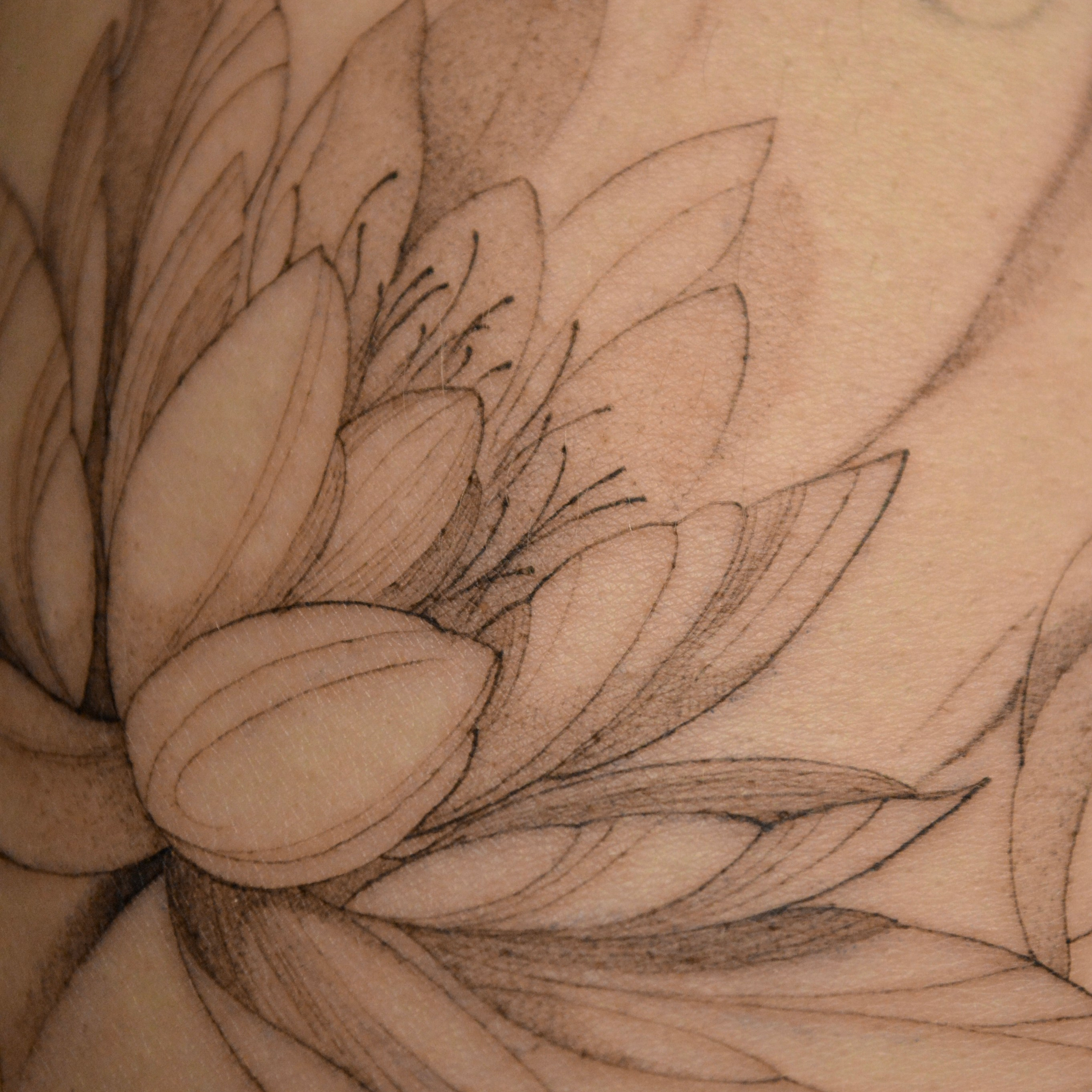 Даниэла Симченкова. Обучение тату Хабаровск. Диплом гос.образца. татуировки Хабаровск