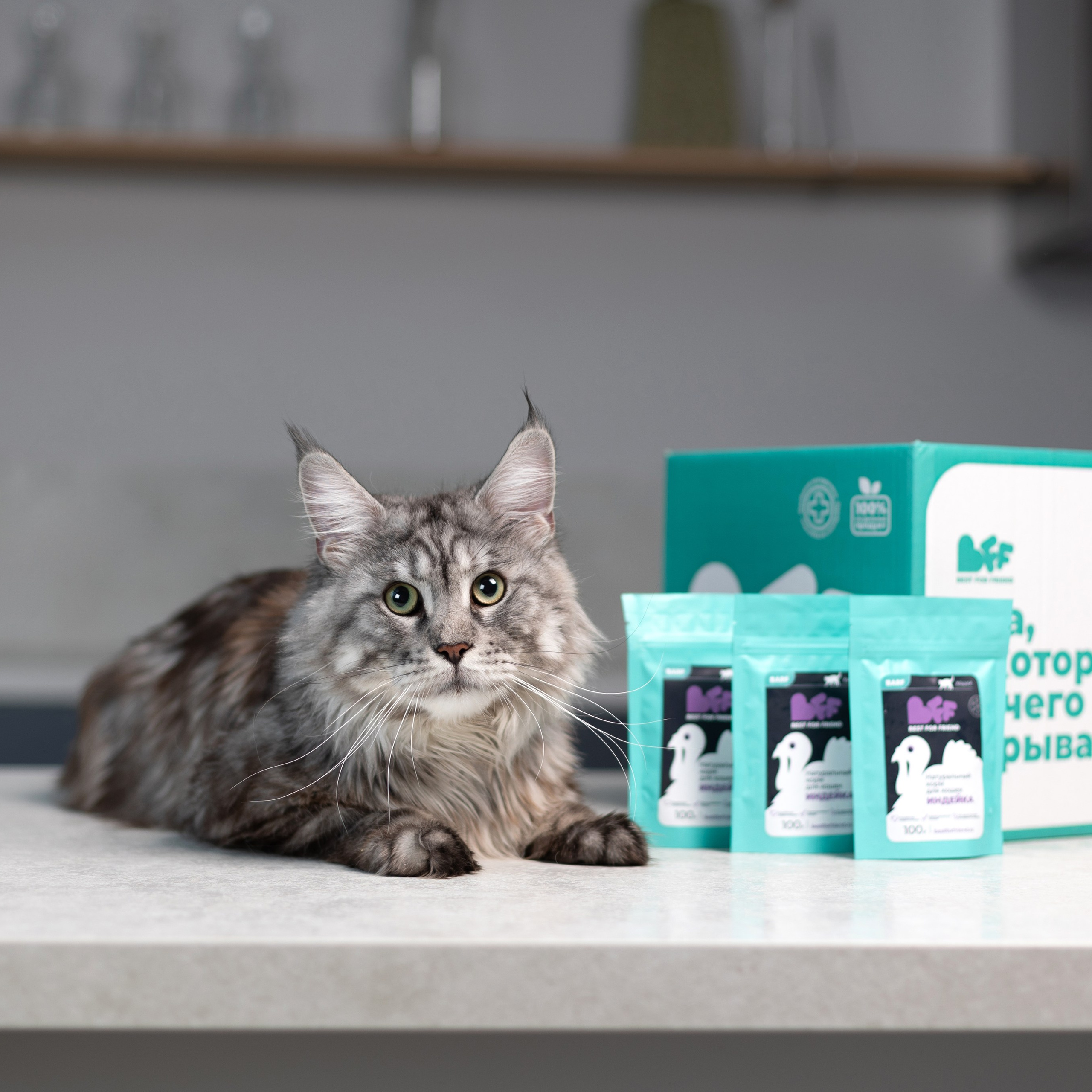 Best for friend (BFF)