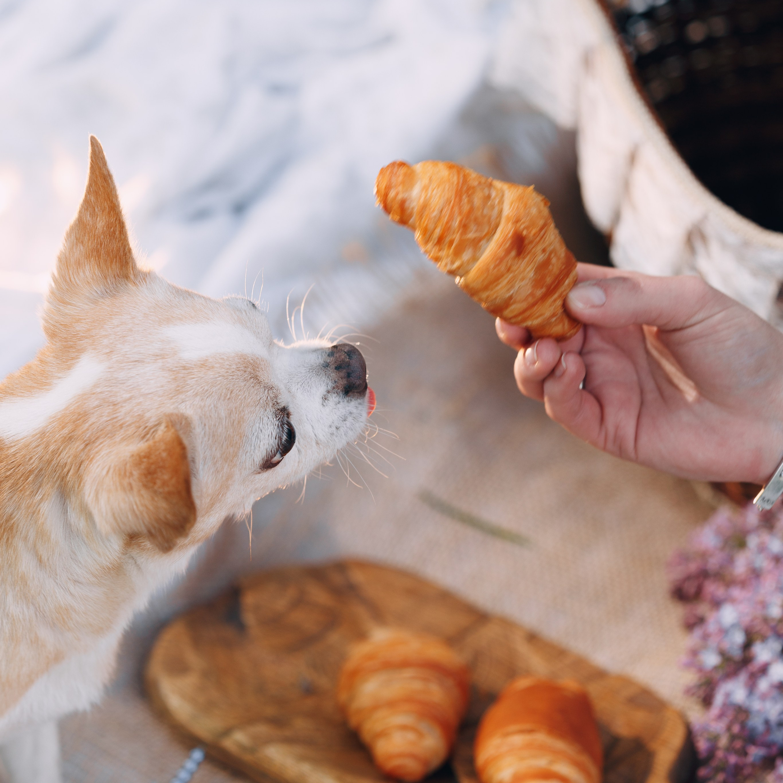 Оля, Патрик, Мейли и Джонни