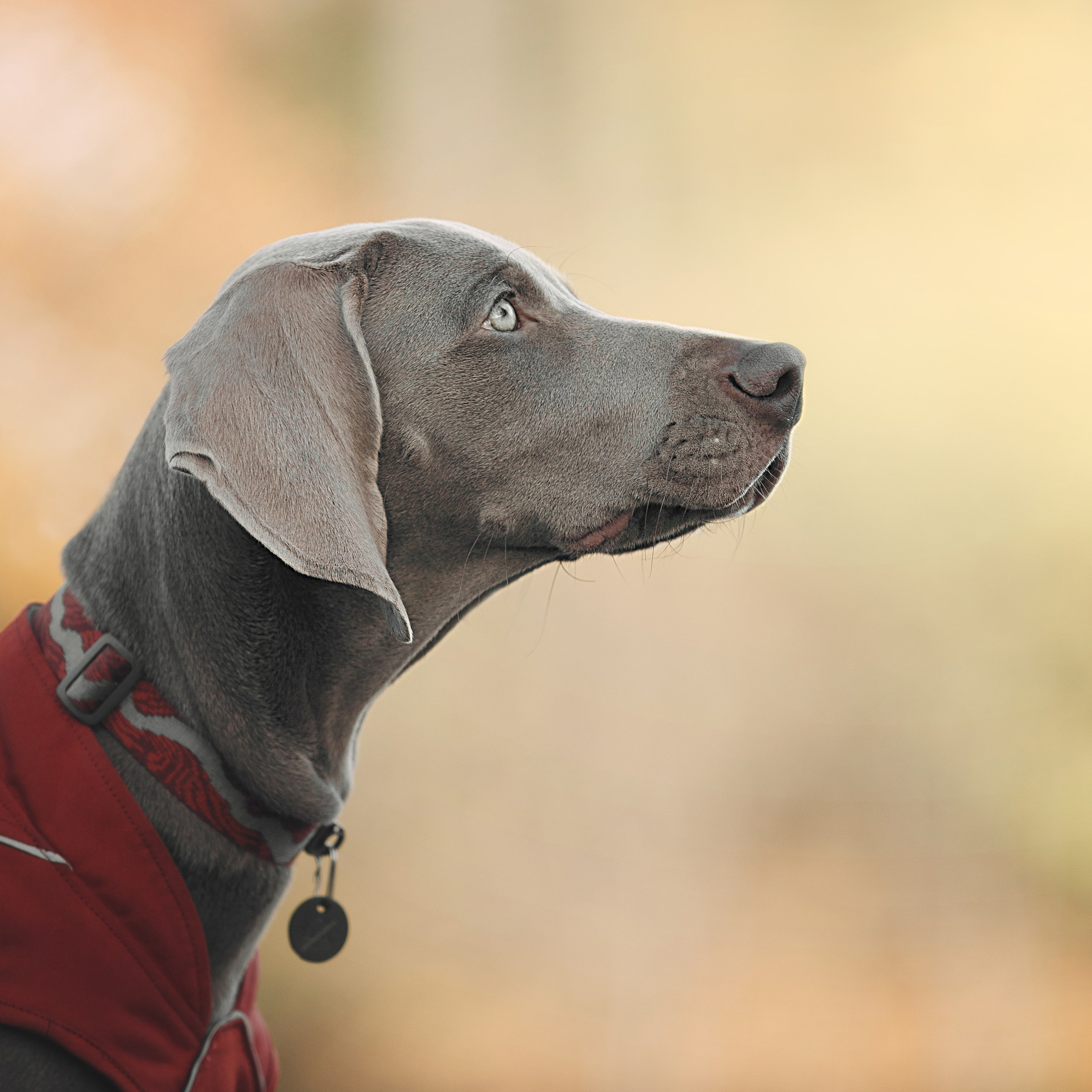 Оля, Саша и Бастиан