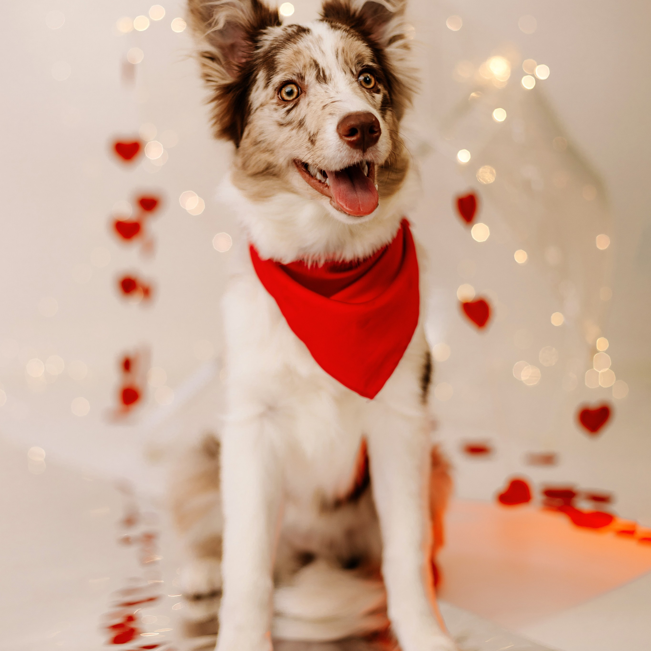 Алиса и Юна