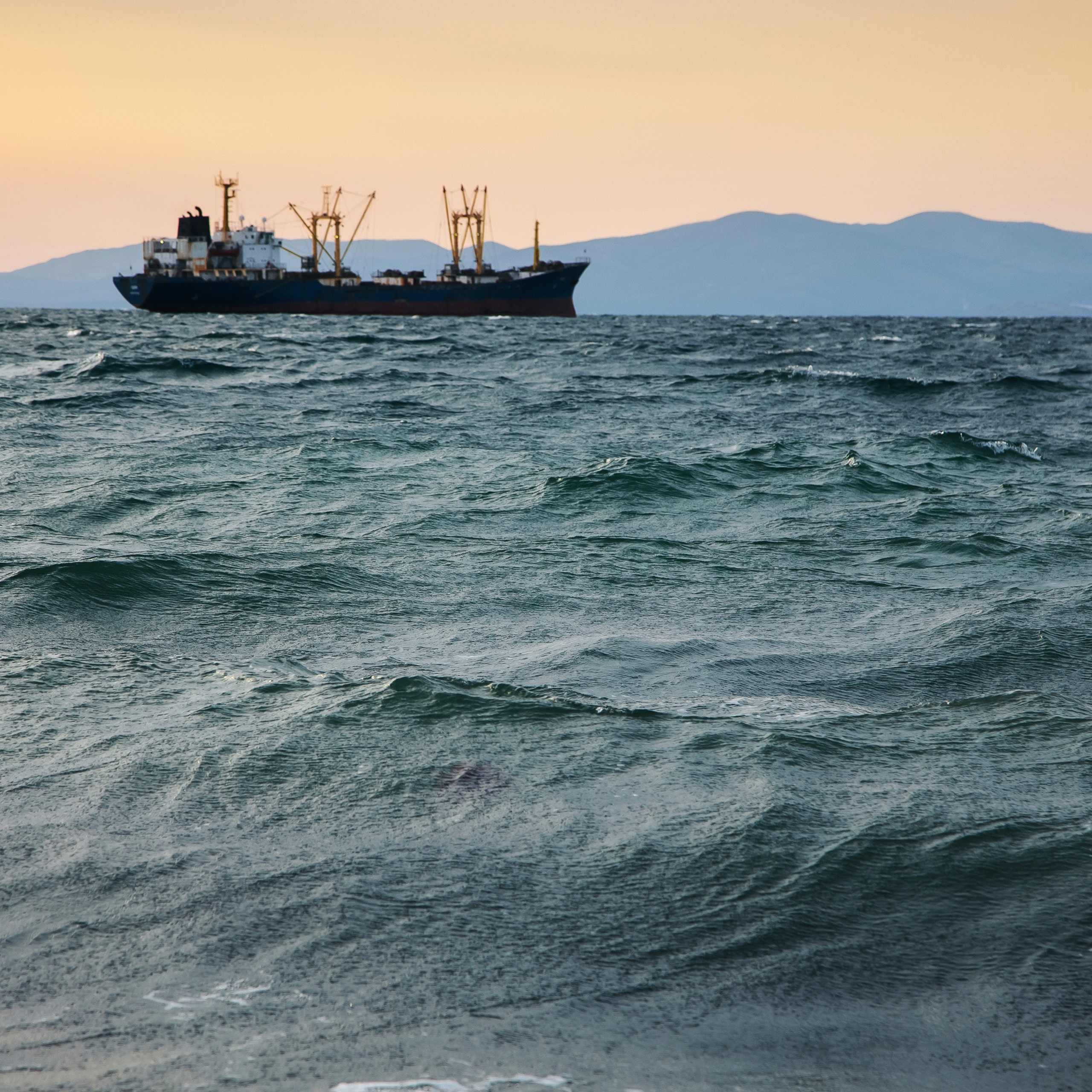 ТИХРЫБКОМ 2022