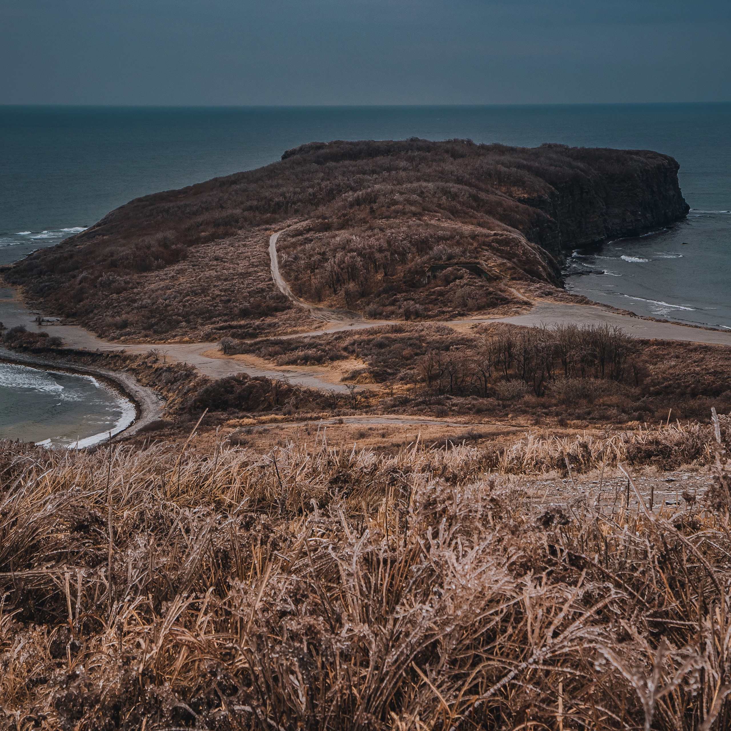 ТИХРЫБКОМ 2022