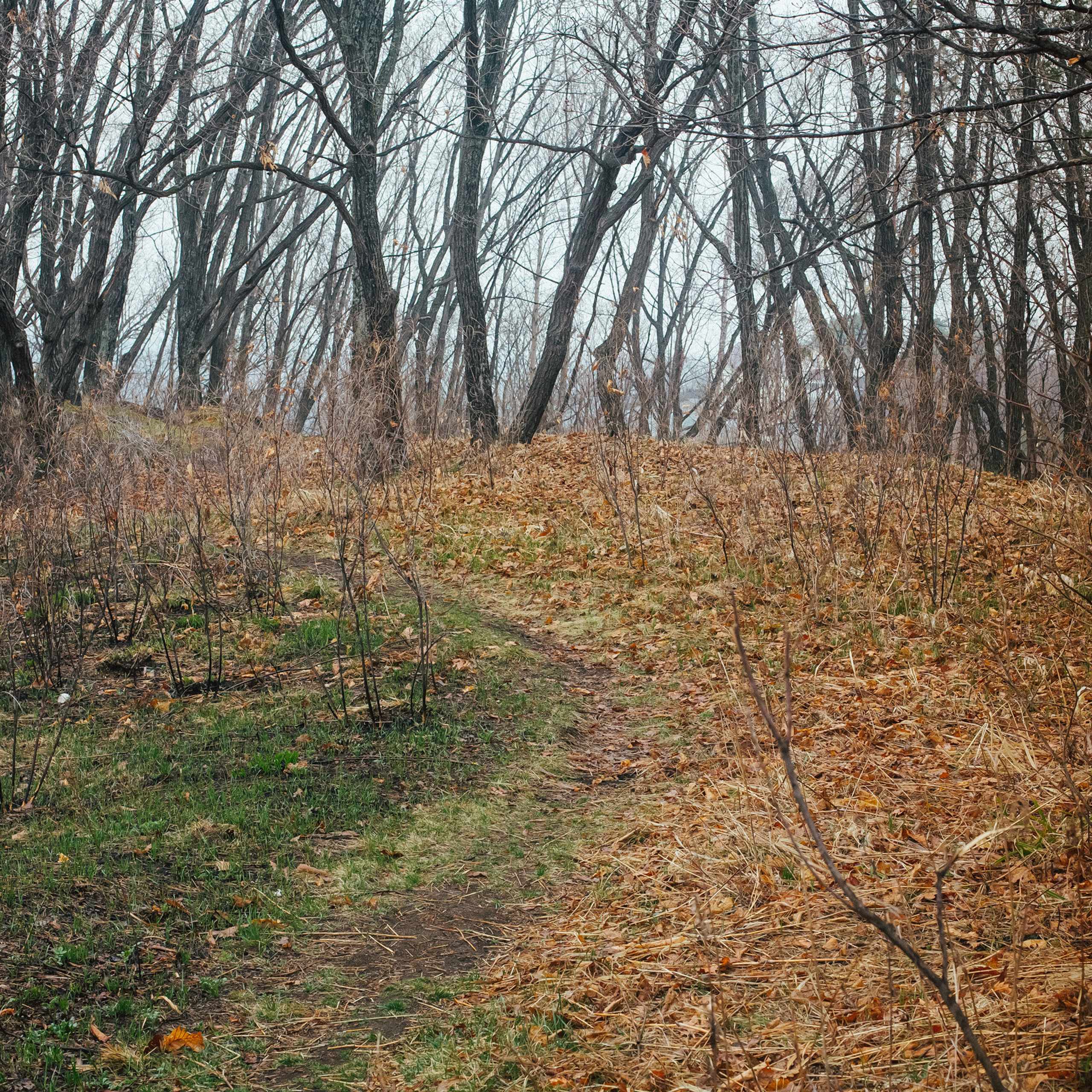 Лесозаводск 2022