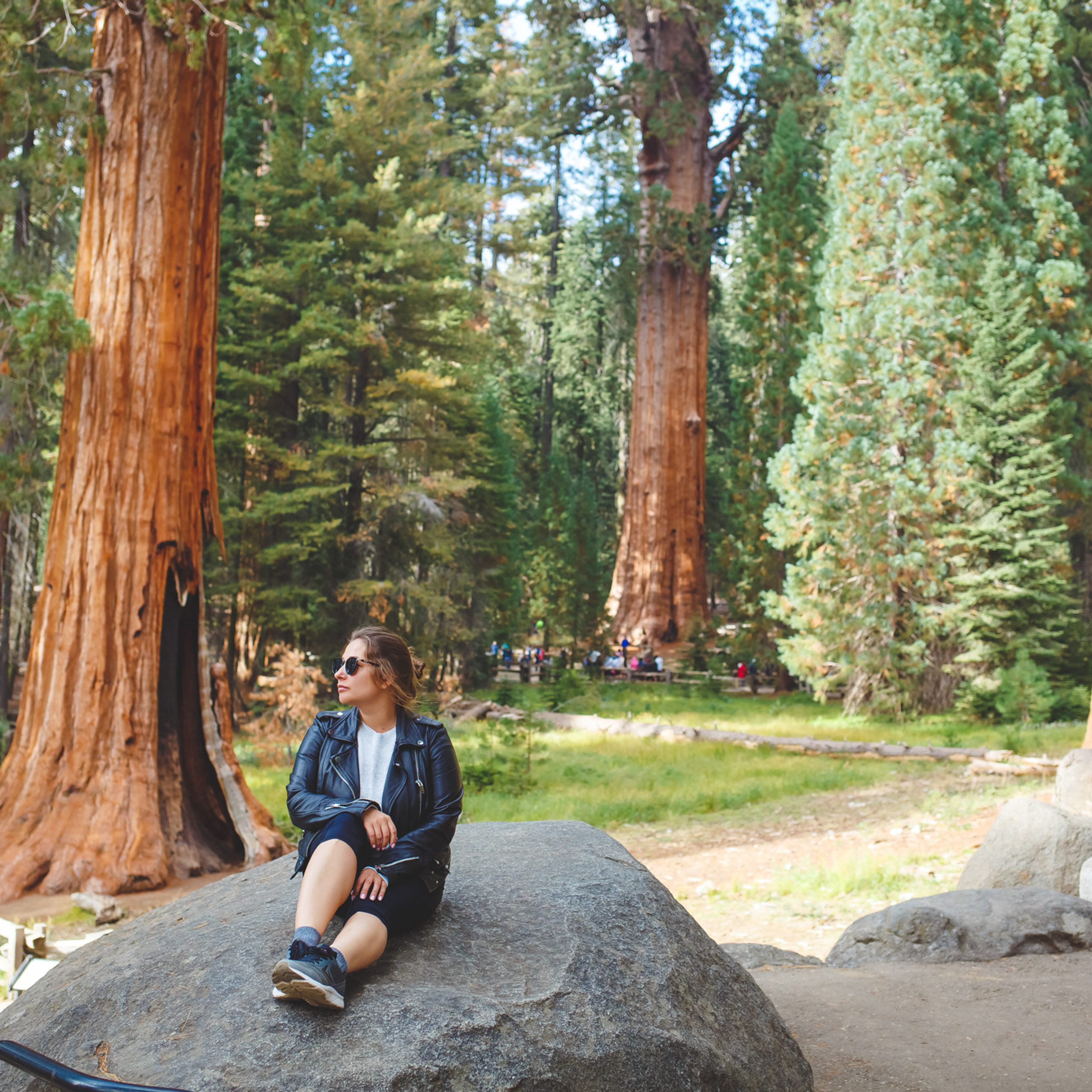 что делает фотографию хорошей