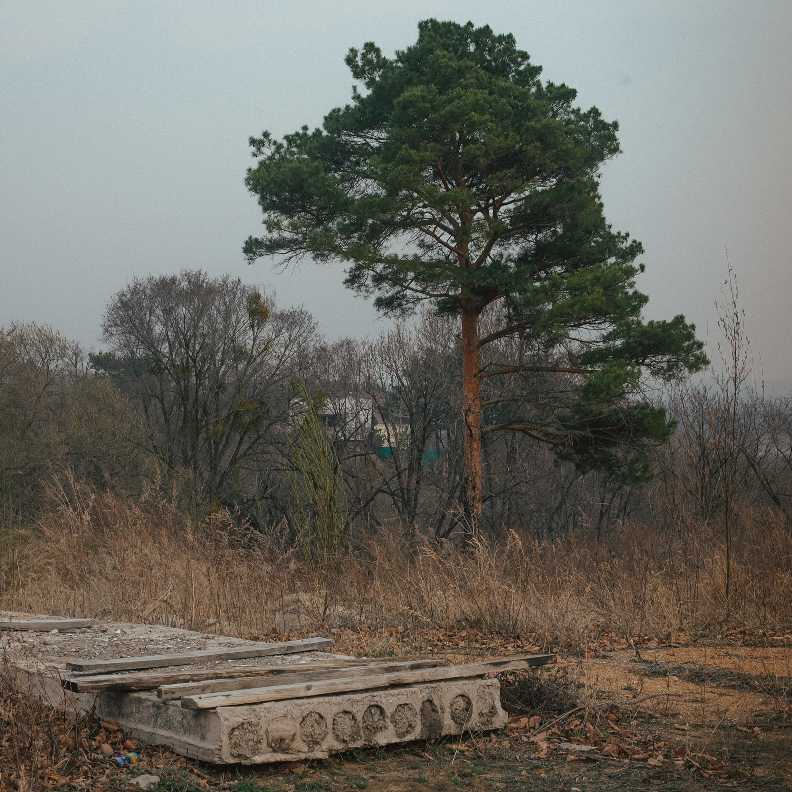 Лесозаводск 2022