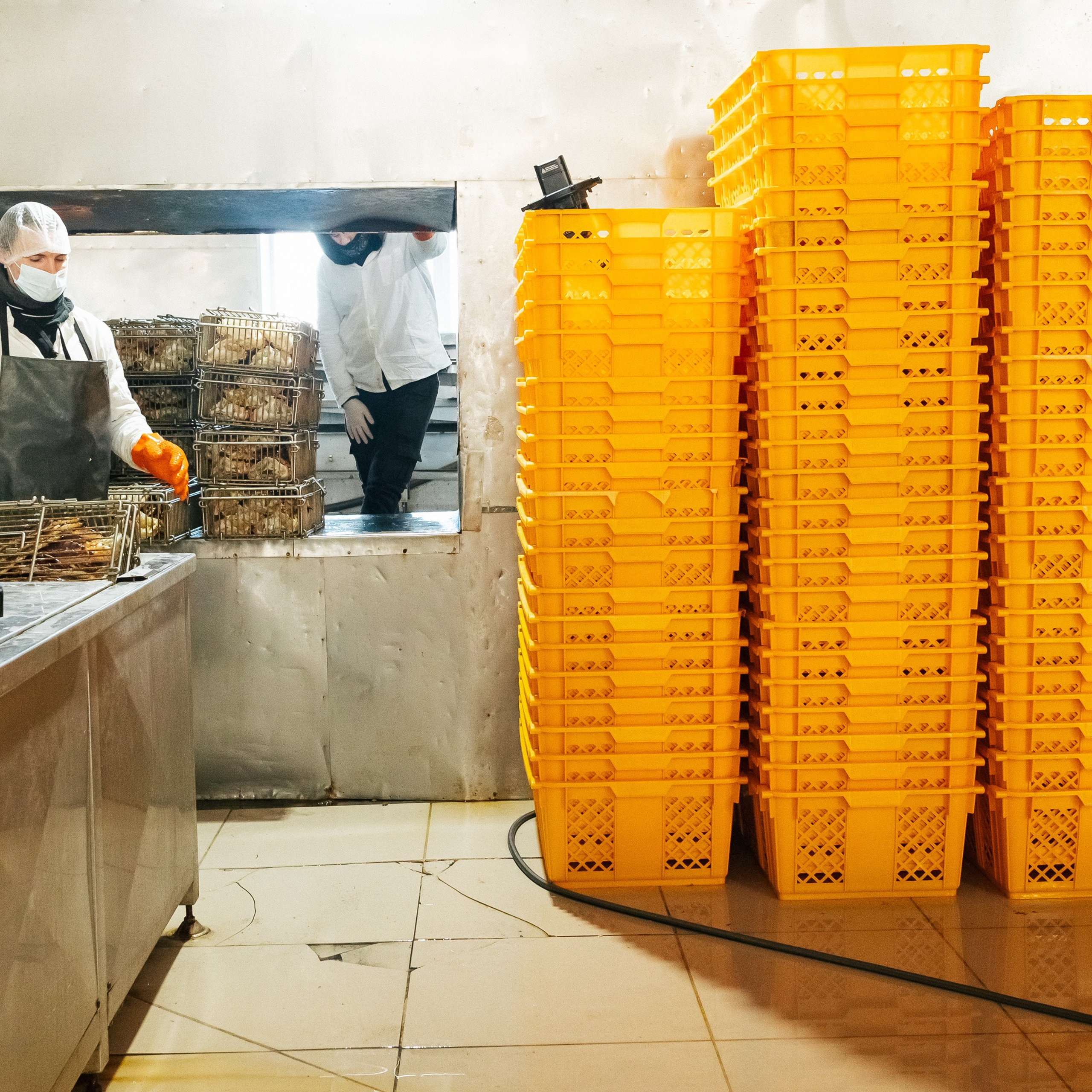 профессиональный репортажный фотограф на мастер-класс и деловой бизнес-круглый стол