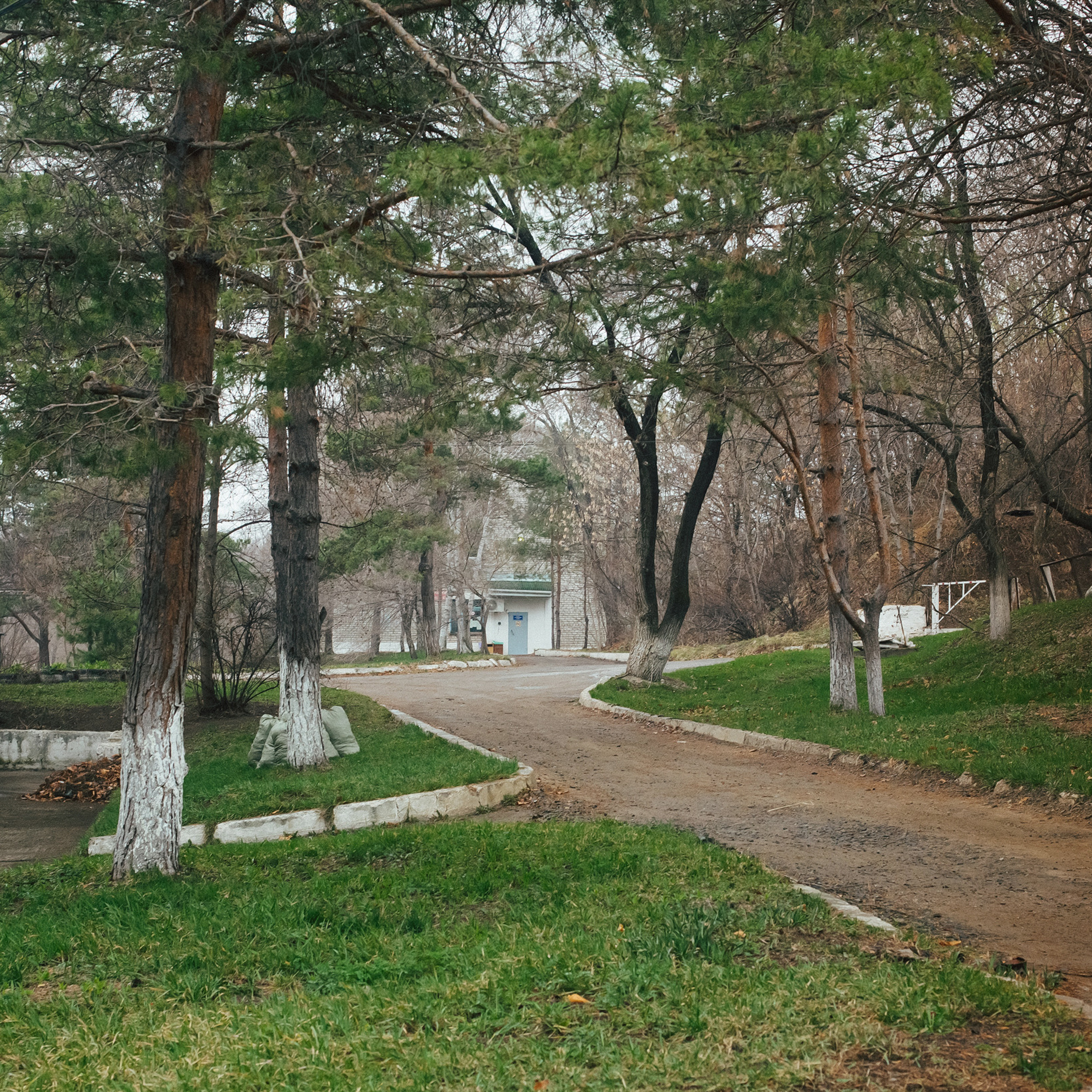 Лесозаводск 2022