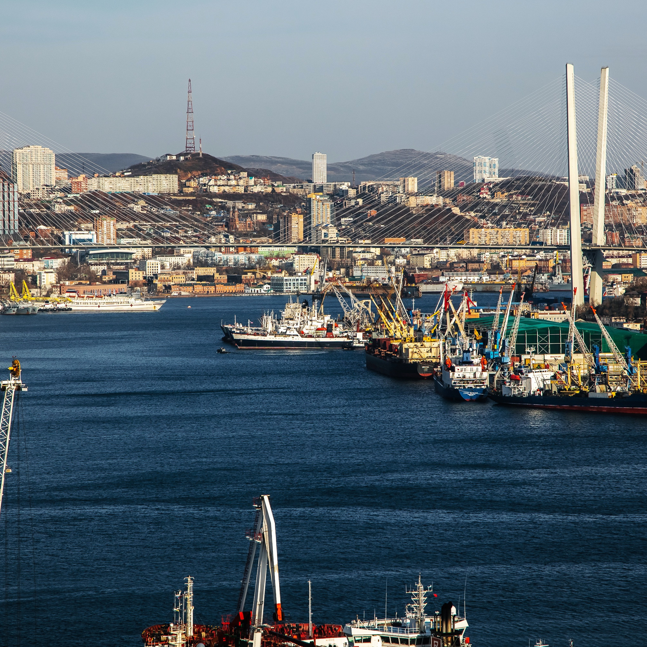 ТИХРЫБКОМ 2022