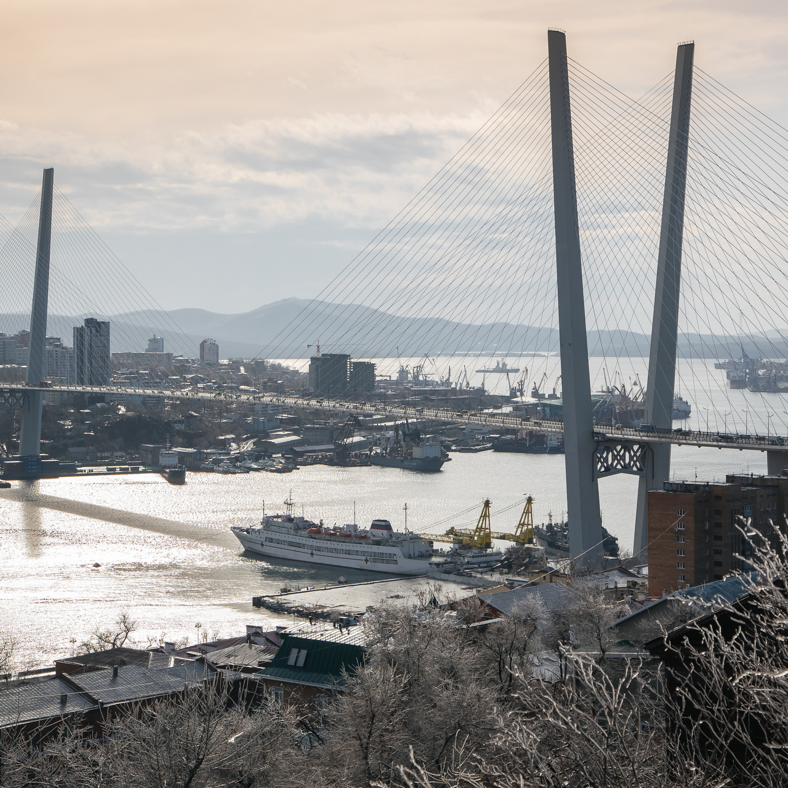 ТИХРЫБКОМ 2022