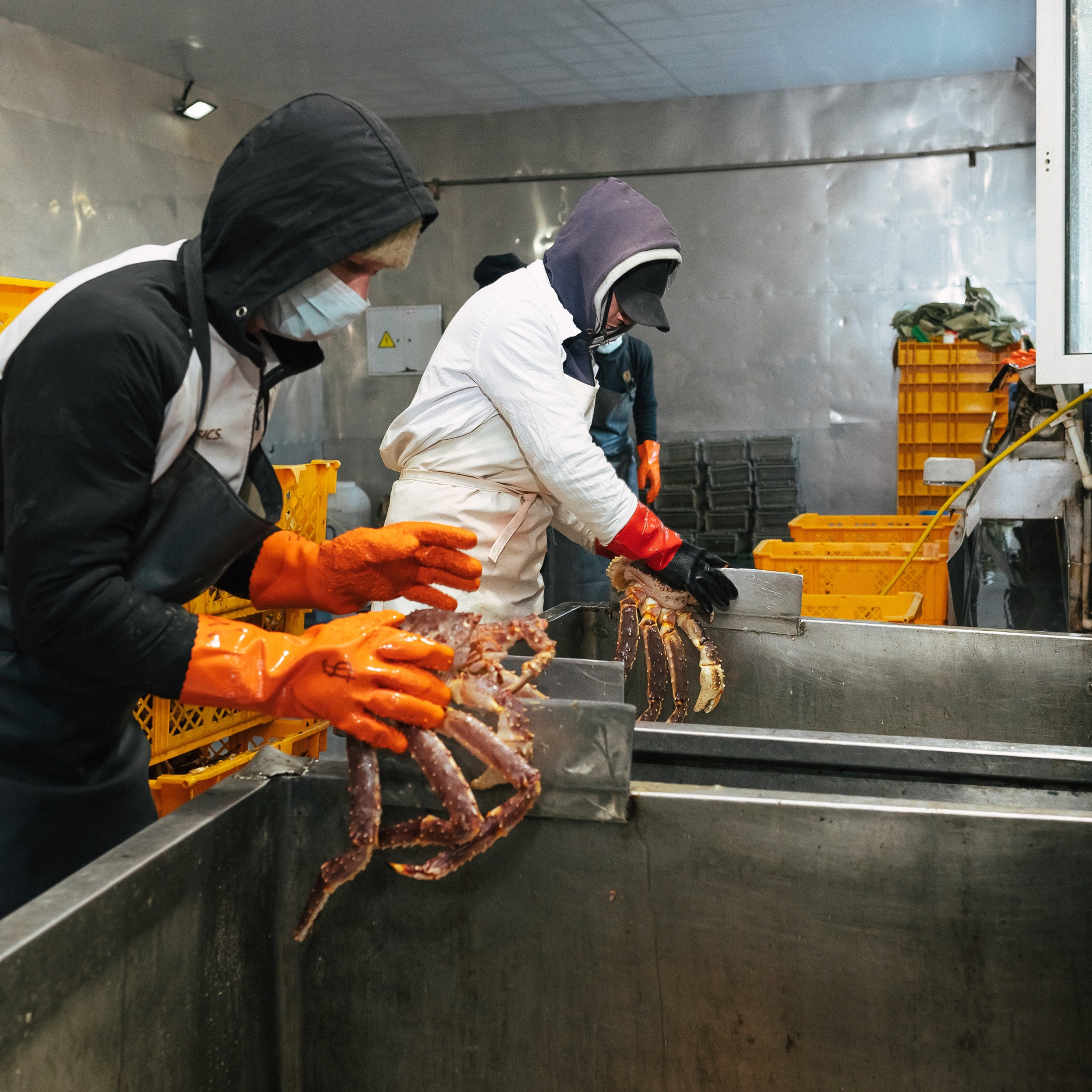 профессиональный репортажный фотограф на мастер-класс и деловой бизнес-круглый стол