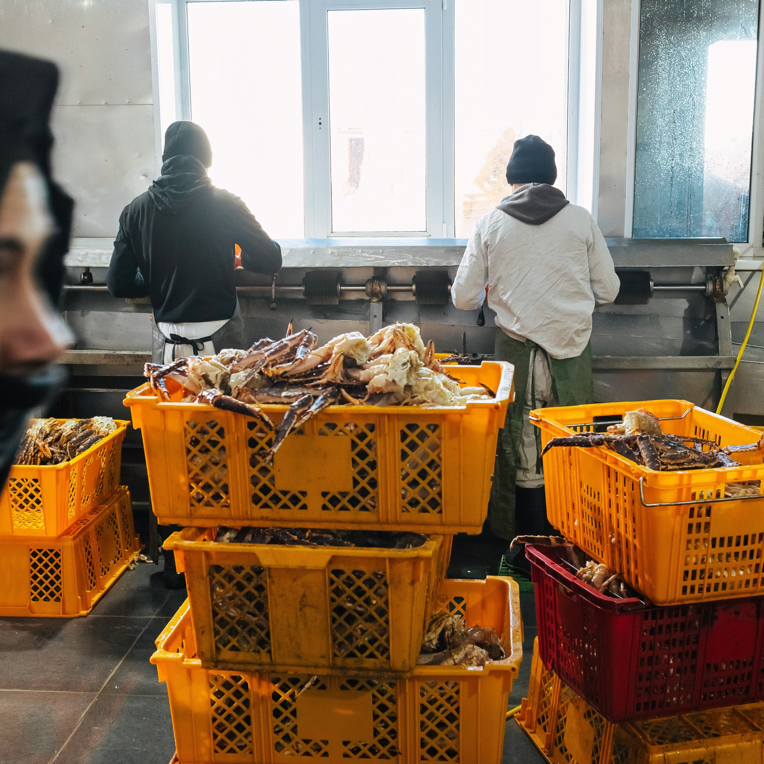 ТИХРЫБКОМ 2022