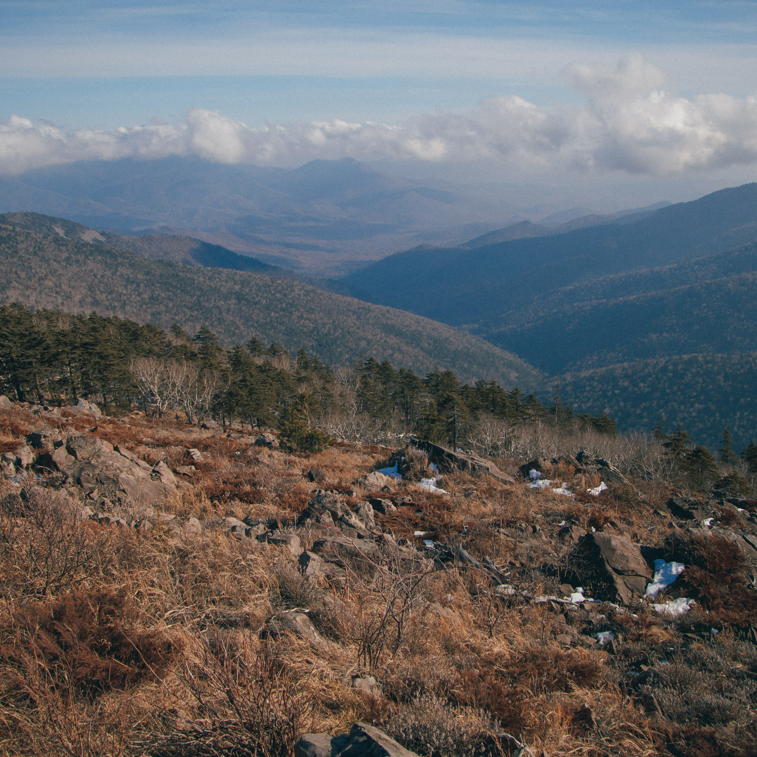 ФАЛАЗА разные года