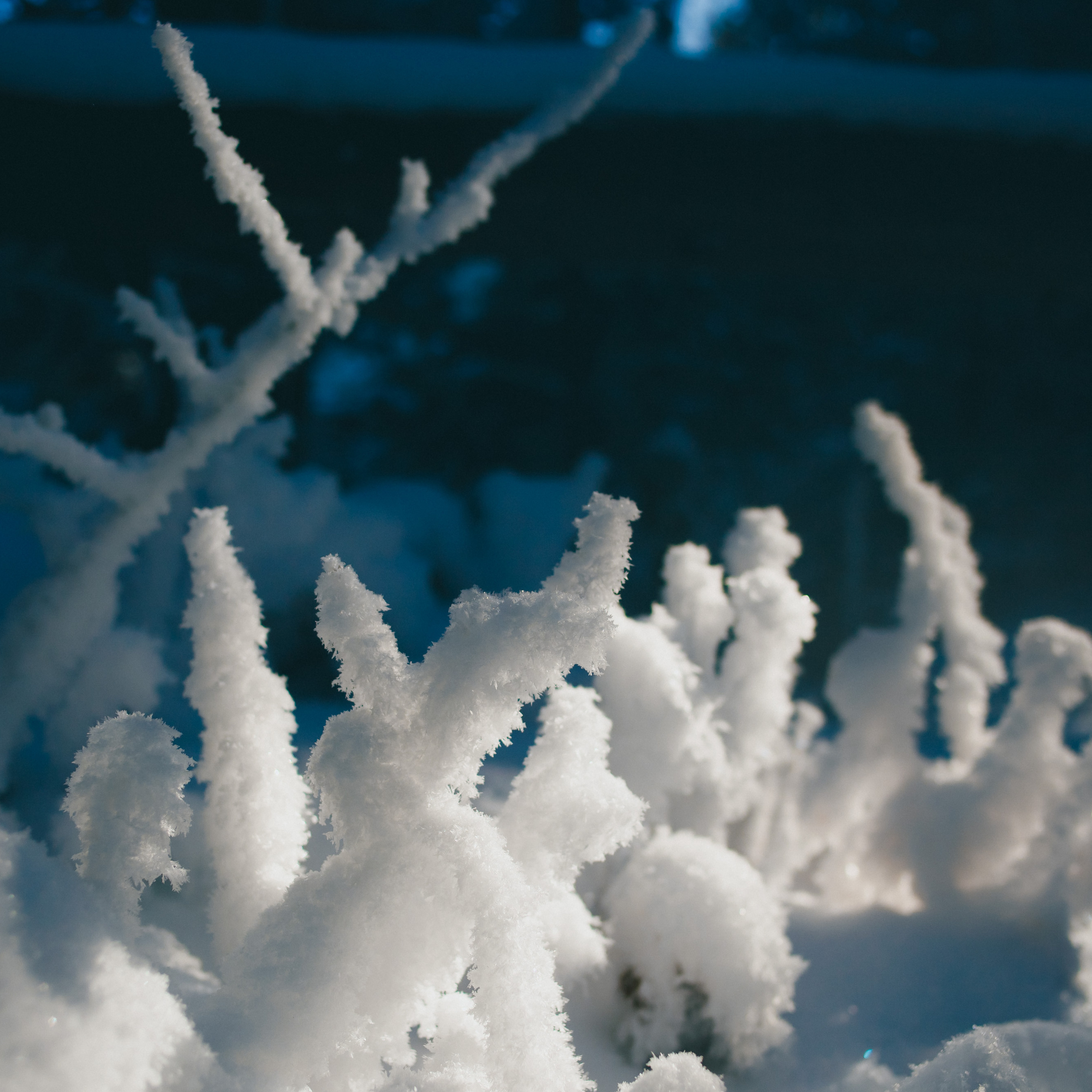 ФАЛАЗА разные года