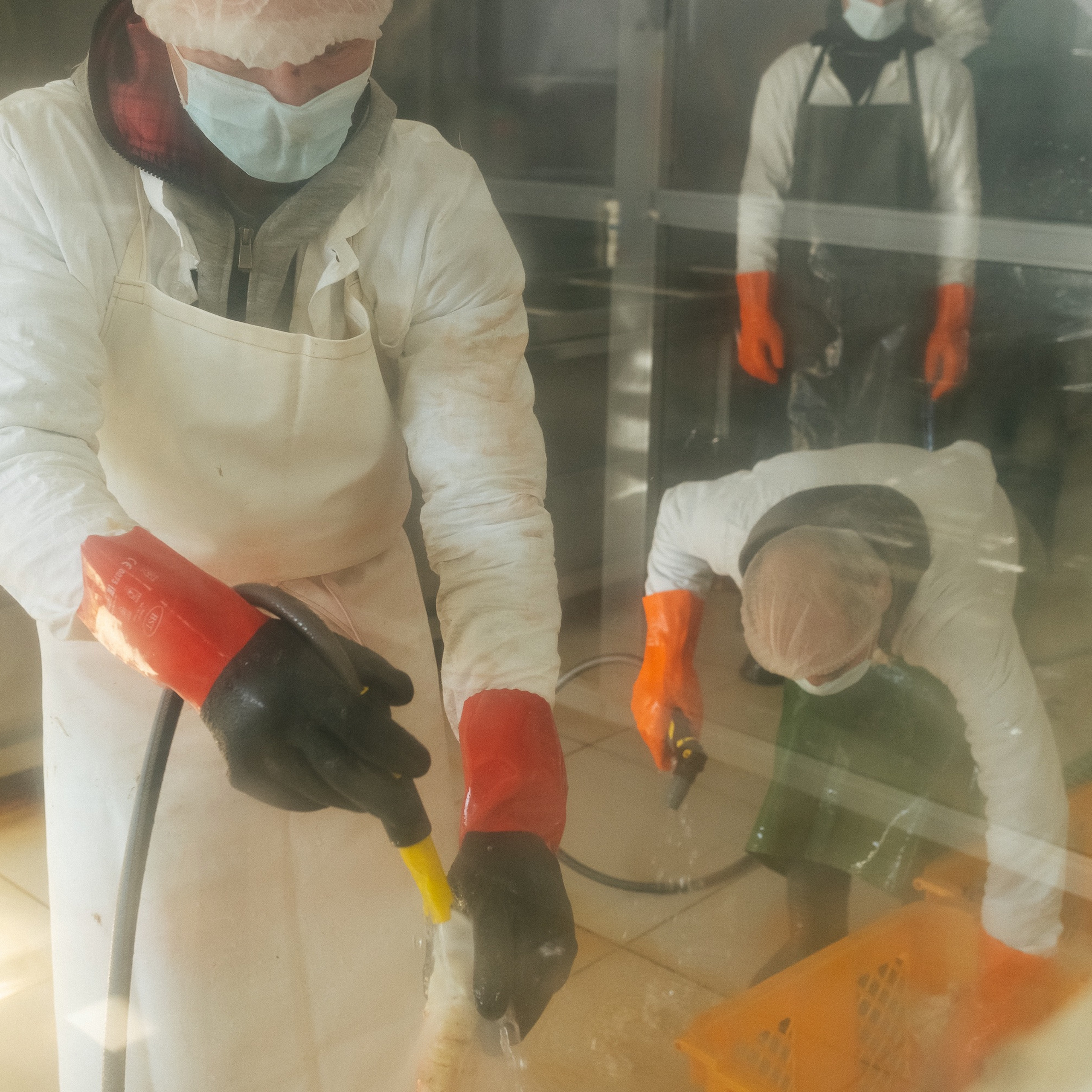 ТИХРЫБКОМ 2022